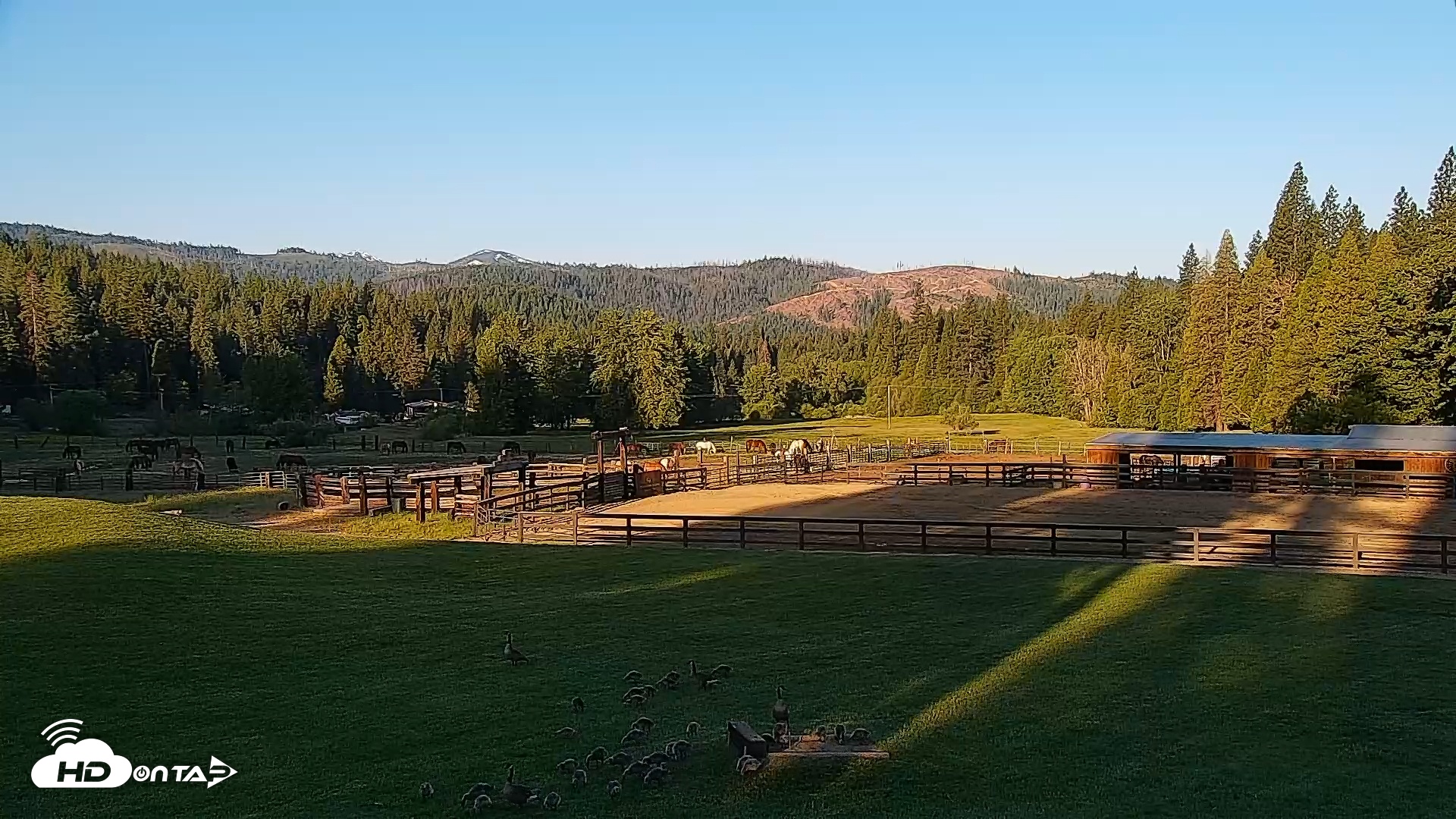 Snapshot of Greenhorn Dude Ranch Live Saloon Cam taken May 21, 2025, 6:55am PDT