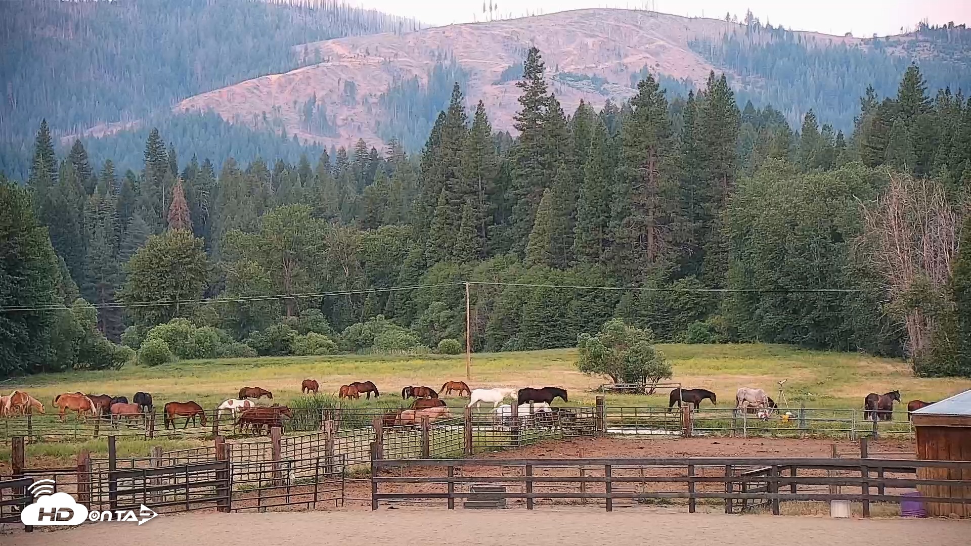 Snapshot of Greenhorn Dude Ranch Live Saloon Cam taken Jun 8, 2025, 5:42am PDT