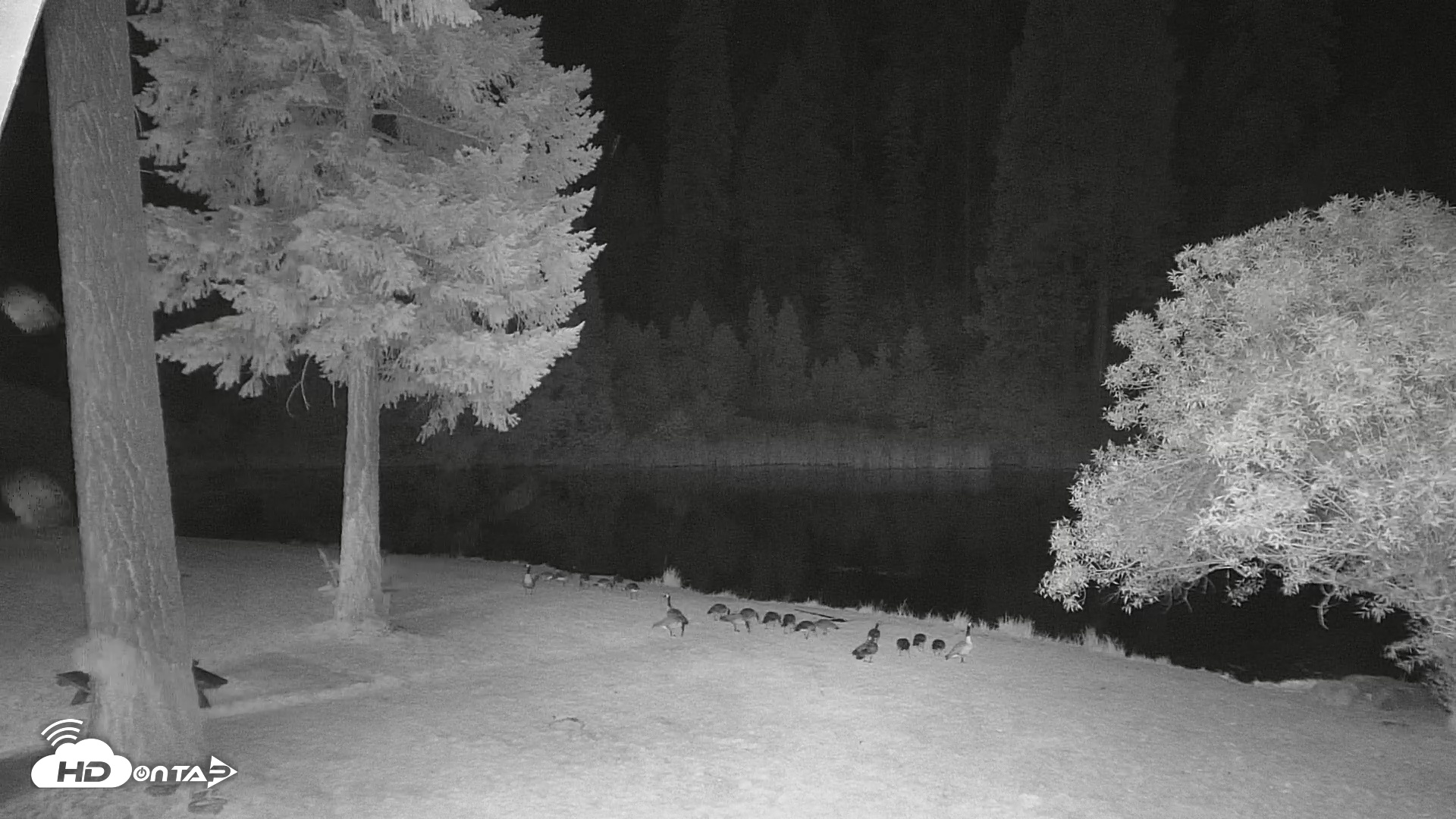 Snapshot of Greenhorn Dude Ranch Live Saloon Cam taken Jun 28, 2026, 10:34pm PDT