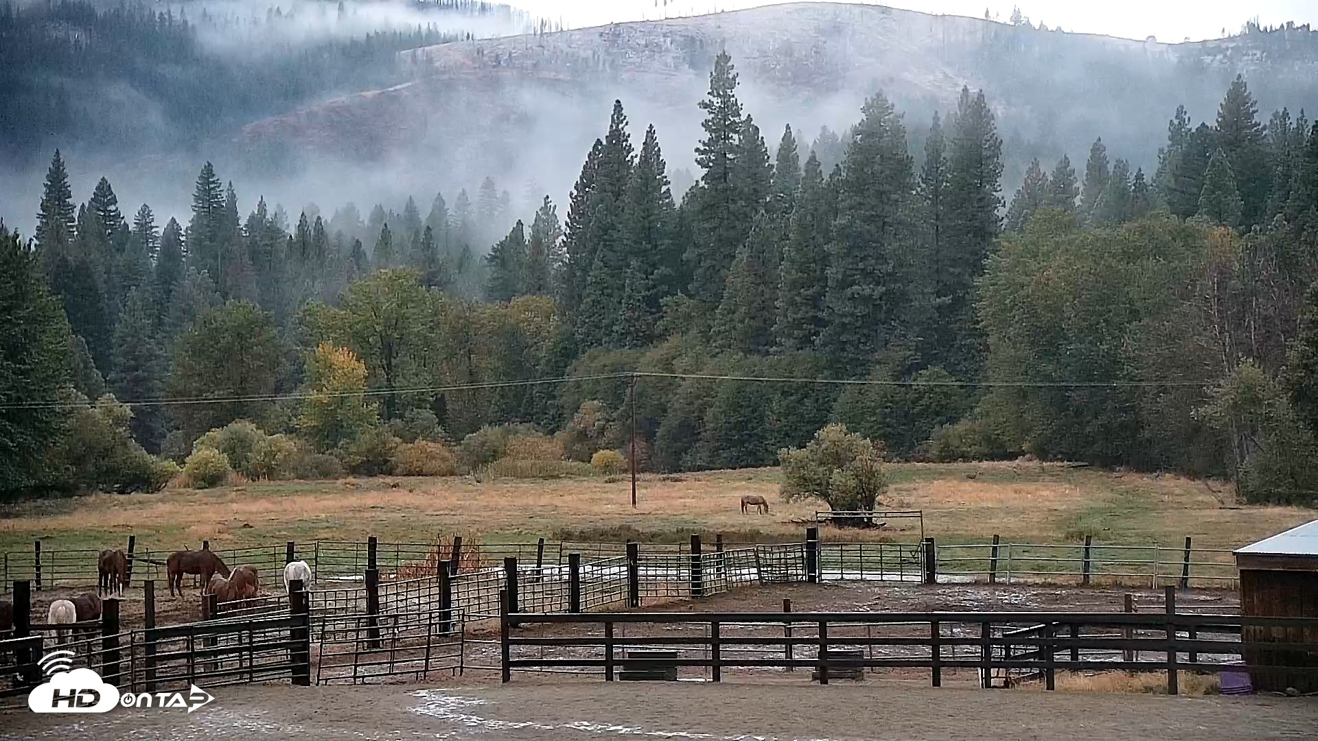 Snapshot of Greenhorn Dude Ranch Live Saloon Cam taken Oct 15, 2025, 7:09am PDT