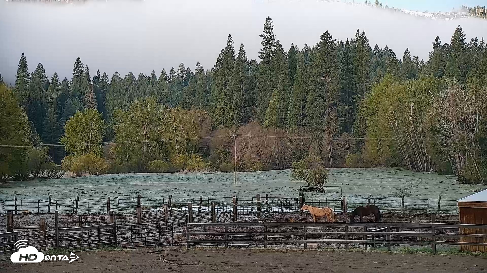 Snapshot of Greenhorn Dude Ranch Live Saloon Cam taken Apr 14, 2026, 7:18am PDT
