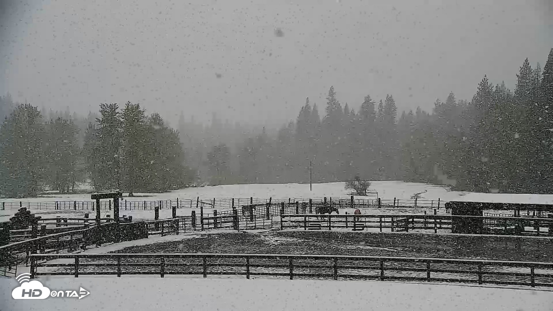 Snapshot of Greenhorn Dude Ranch Live Saloon Cam taken Apr 12, 2026, 12:02pm PDT