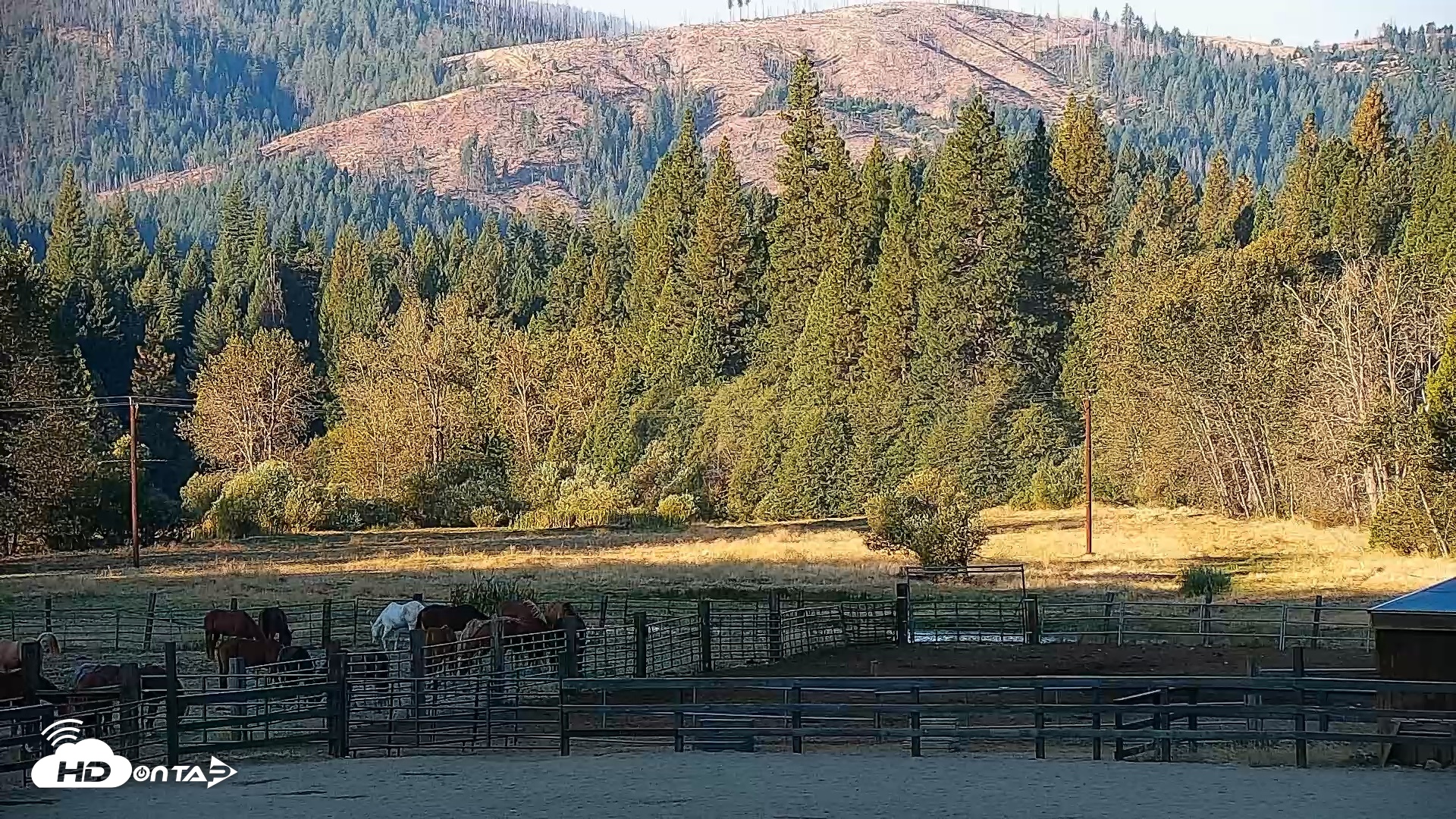Snapshot of Greenhorn Dude Ranch Live Saloon Cam taken Sep 22, 2026, 8:03am PDT