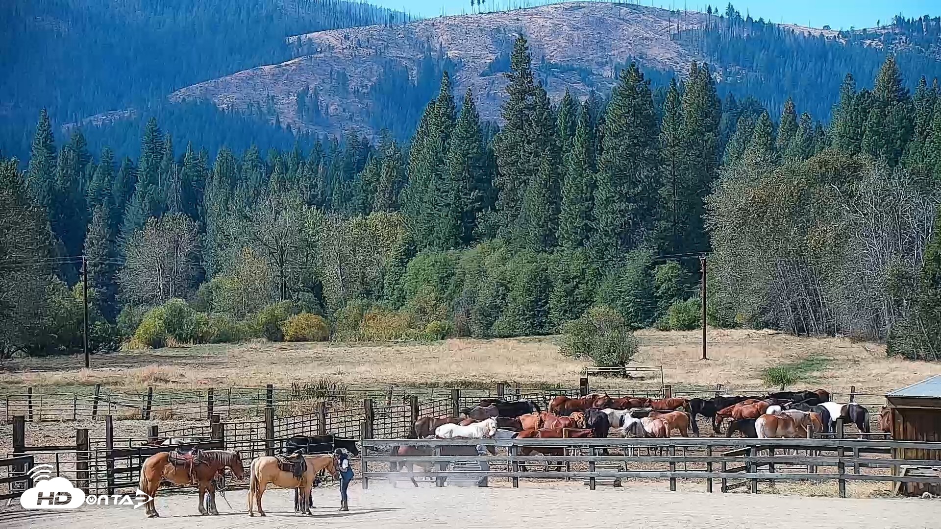 Snapshot of Greenhorn Dude Ranch Live Saloon Cam taken Oct 2, 2026, 11:27am PDT