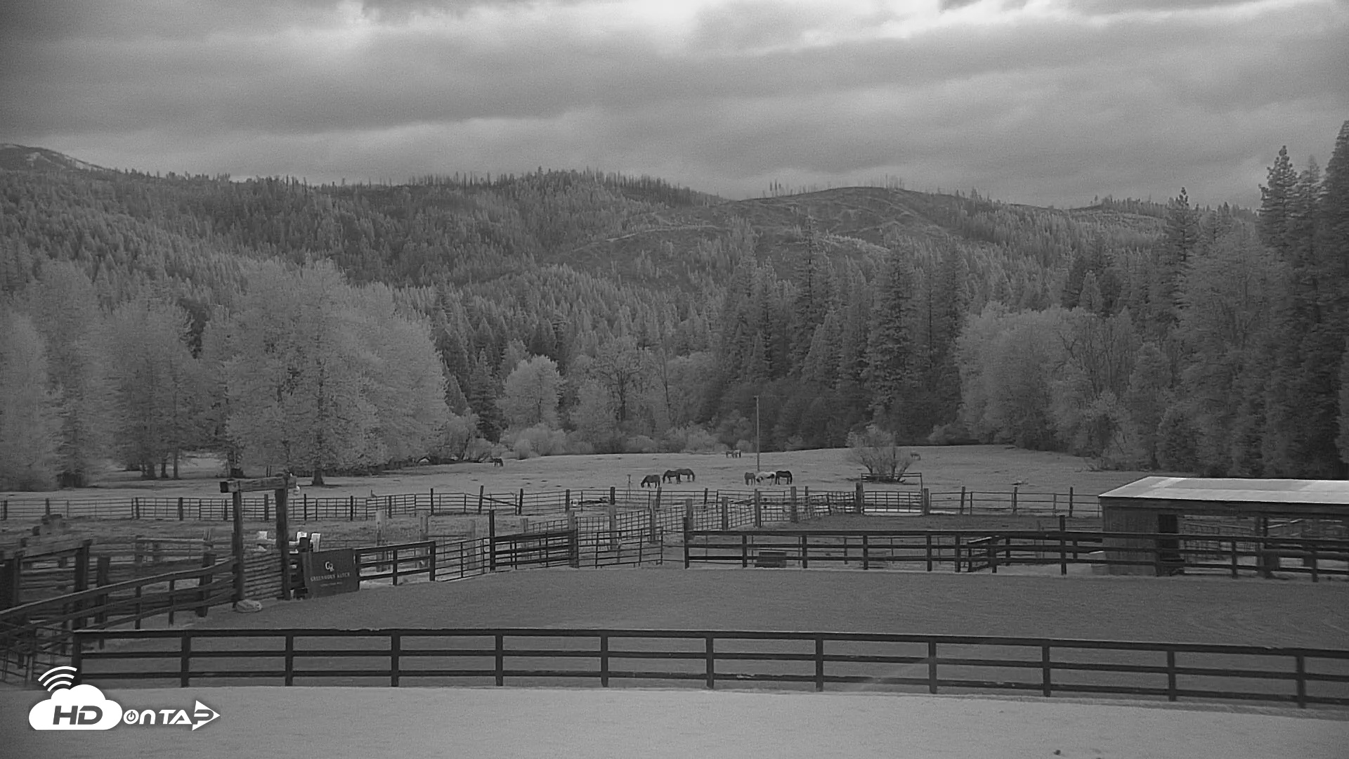 Snapshot of Greenhorn Dude Ranch Live Webcams taken Apr 25, 2025, 8:19pm PDT