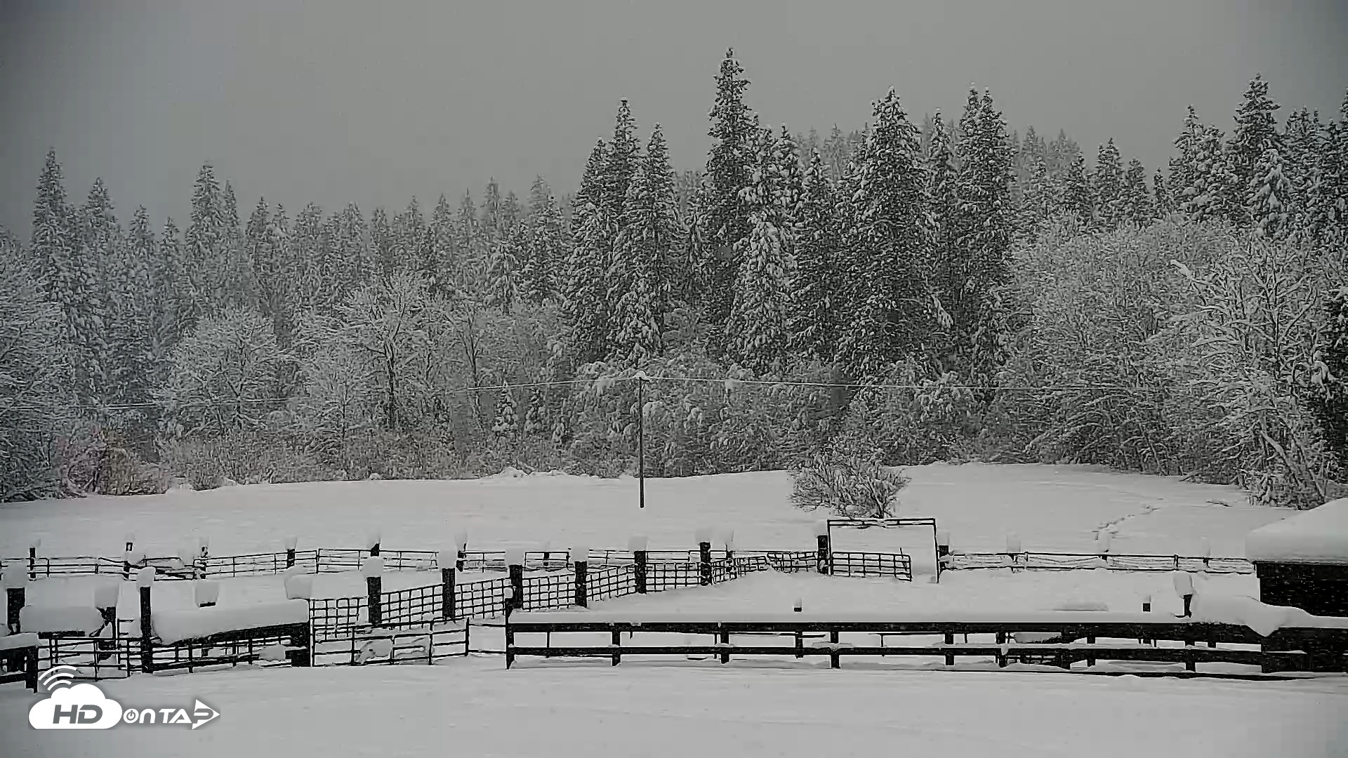 Snapshot of Greenhorn Dude Ranch Live Saloon Cam taken Feb 19, 2026, 12:24pm PST