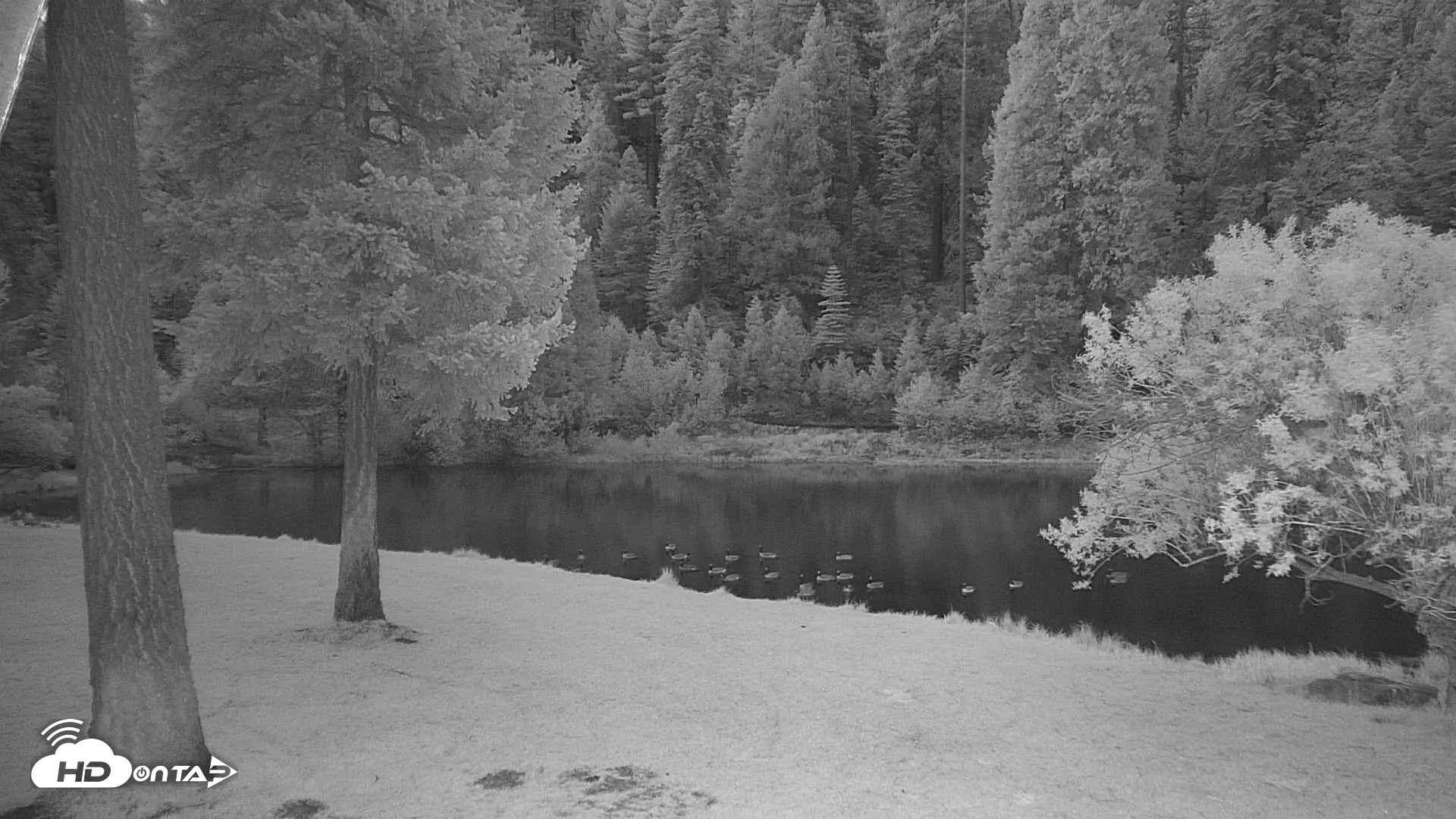 Snapshot of Greenhorn Dude Ranch Live Saloon Cam taken May 14, 2025, 5:22am PDT