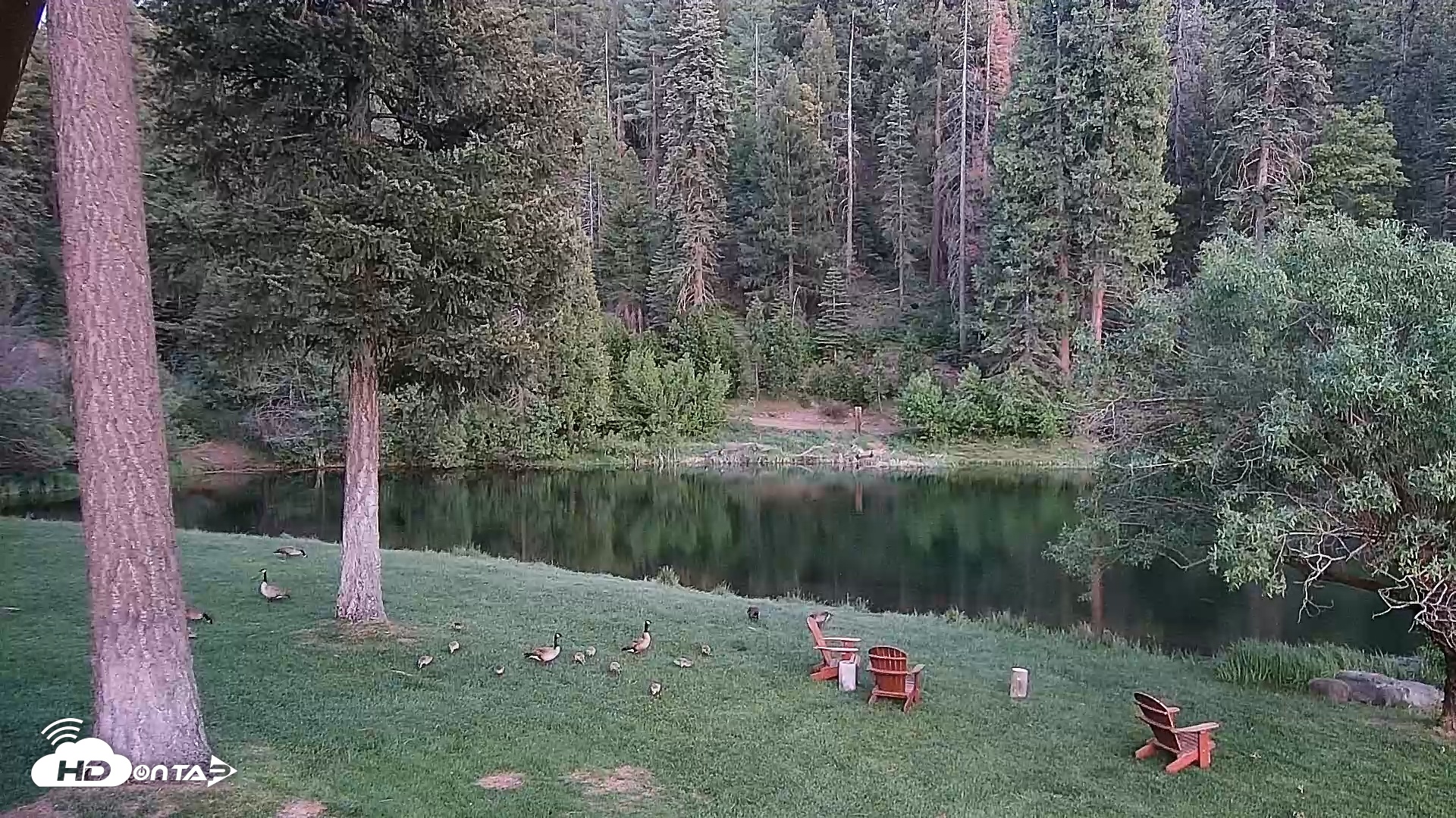 Snapshot of Greenhorn Dude Ranch Live Saloon Cam taken May 21, 2025, 8:33pm PDT