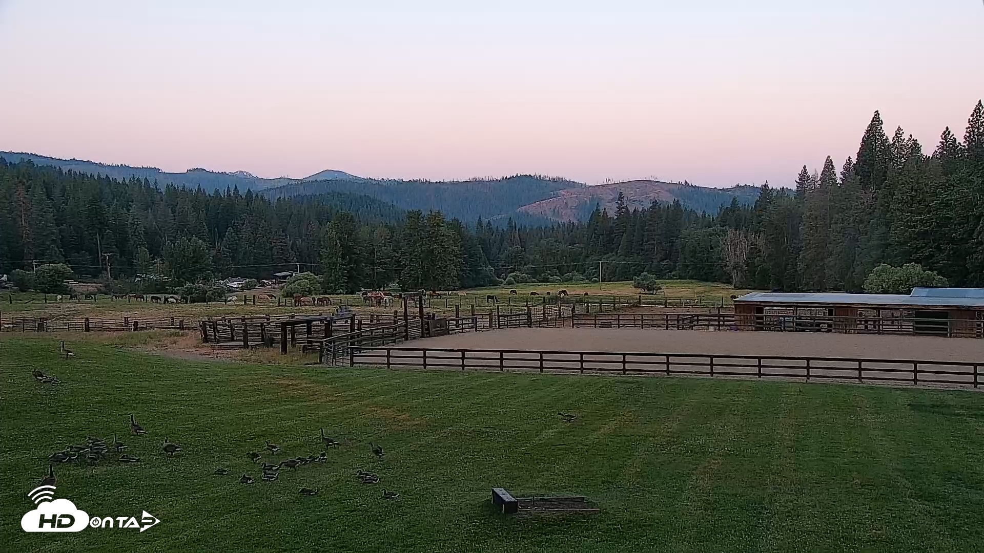 Snapshot of Greenhorn Dude Ranch Live Saloon Cam taken Jun 8, 2025, 5:38am PDT