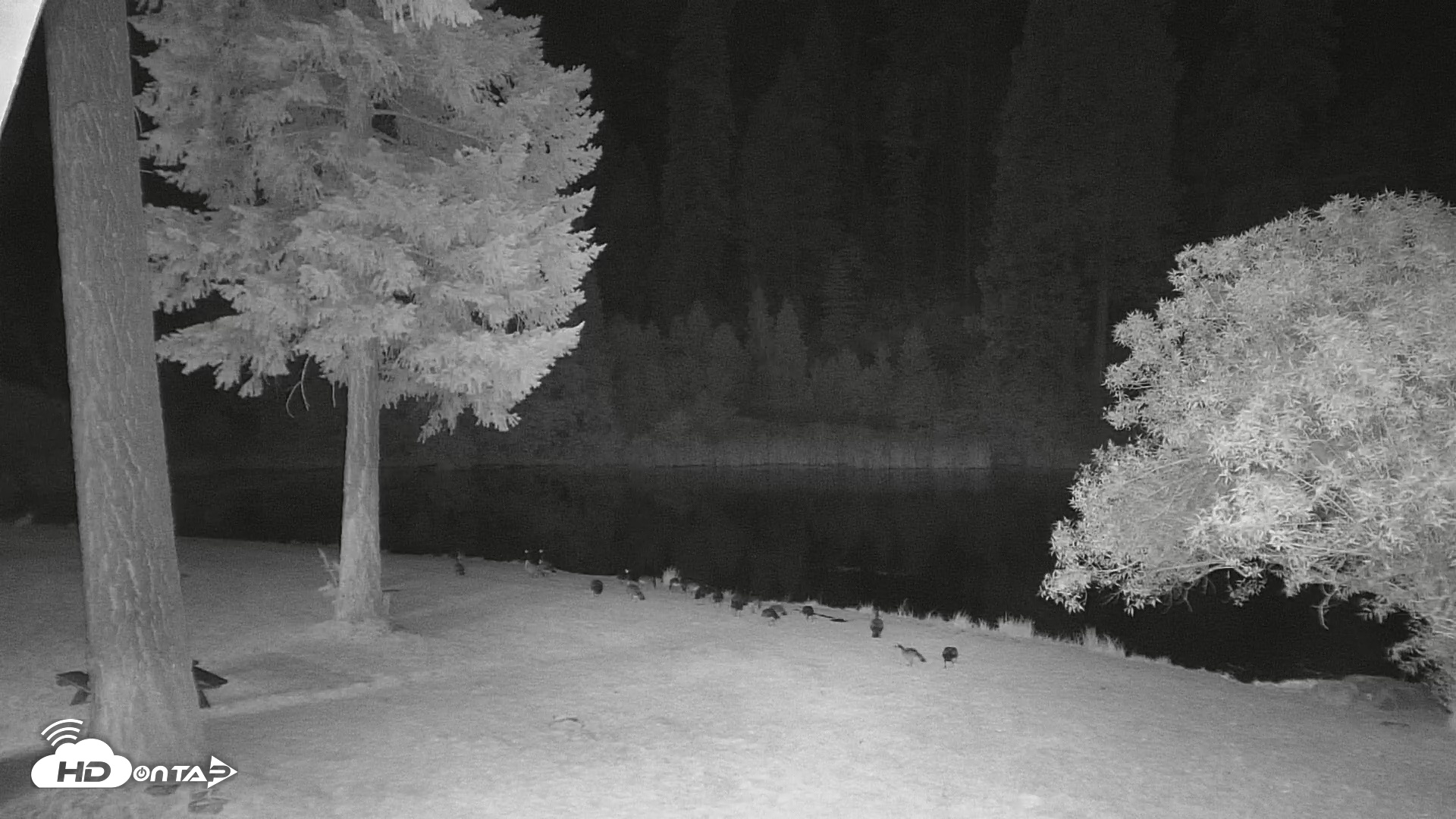 Snapshot of Greenhorn Dude Ranch Live Saloon Cam taken Jun 28, 2026, 10:38pm PDT