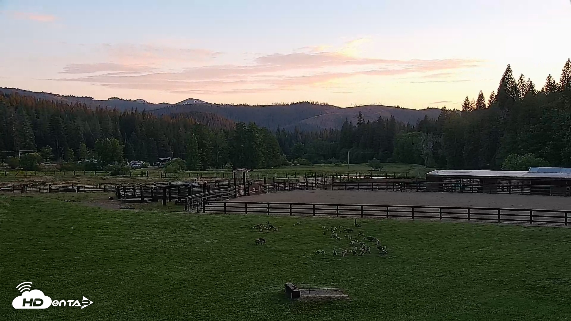 Snapshot of Greenhorn Dude Ranch Live Saloon Cam taken May 18, 2025, 8:07pm PDT