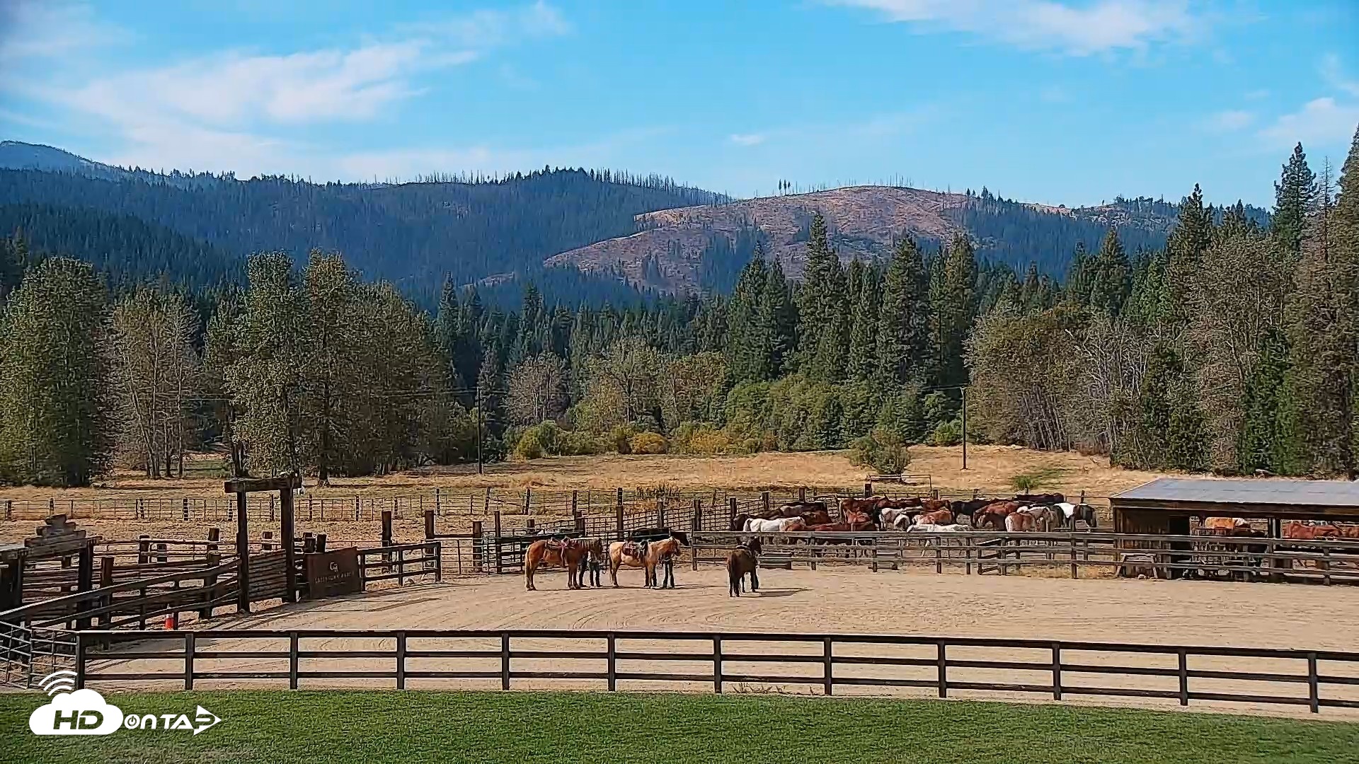 Snapshot of Greenhorn Dude Ranch Live Saloon Cam taken Oct 2, 2026, 11:26am PDT