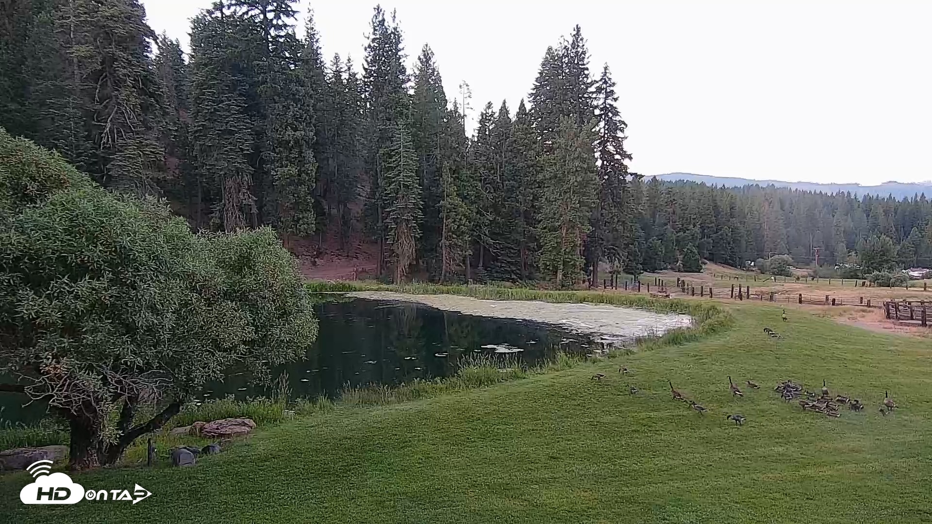 Snapshot of Greenhorn Dude Ranch Live Saloon Cam taken Jun 8, 2025, 5:41am PDT