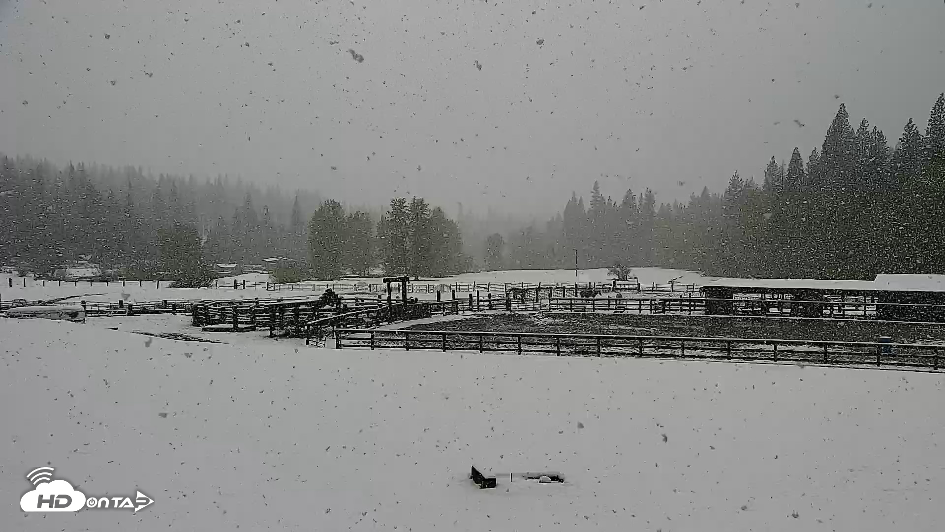 Snapshot of Greenhorn Dude Ranch Live Saloon Cam taken Apr 12, 2026, 12:03pm PDT
