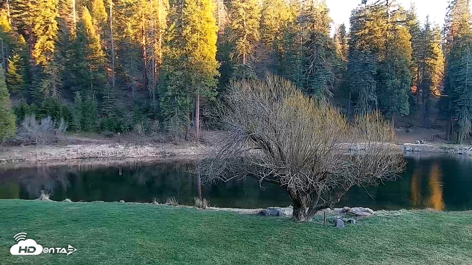 Snapshot of Greenhorn Dude Ranch Live Saloon Cam taken Mar 18, 2026, 6:57pm PDT