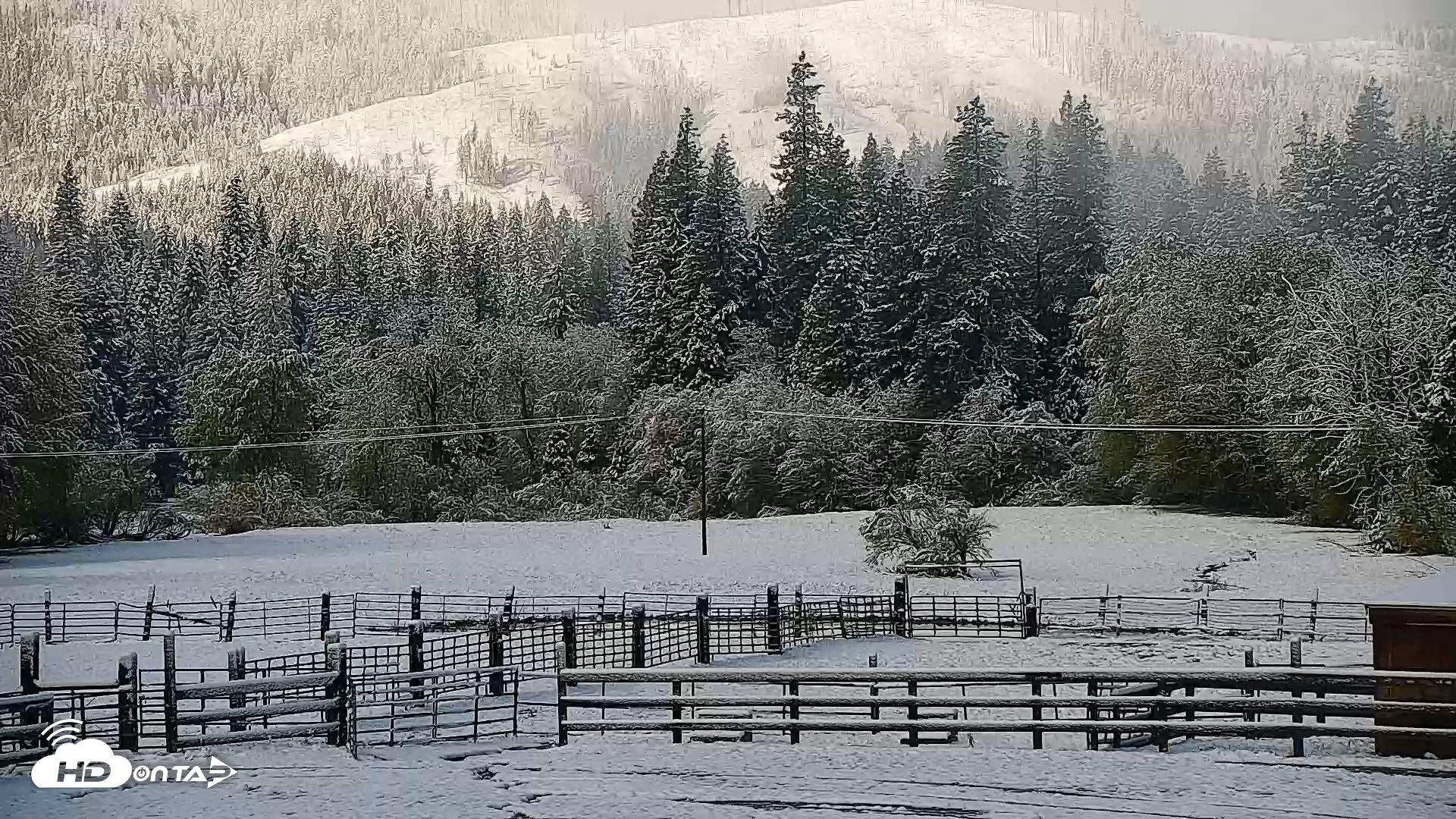 Snapshot of Greenhorn Dude Ranch Live Saloon Cam taken Apr 12, 2026, 8:43am PDT