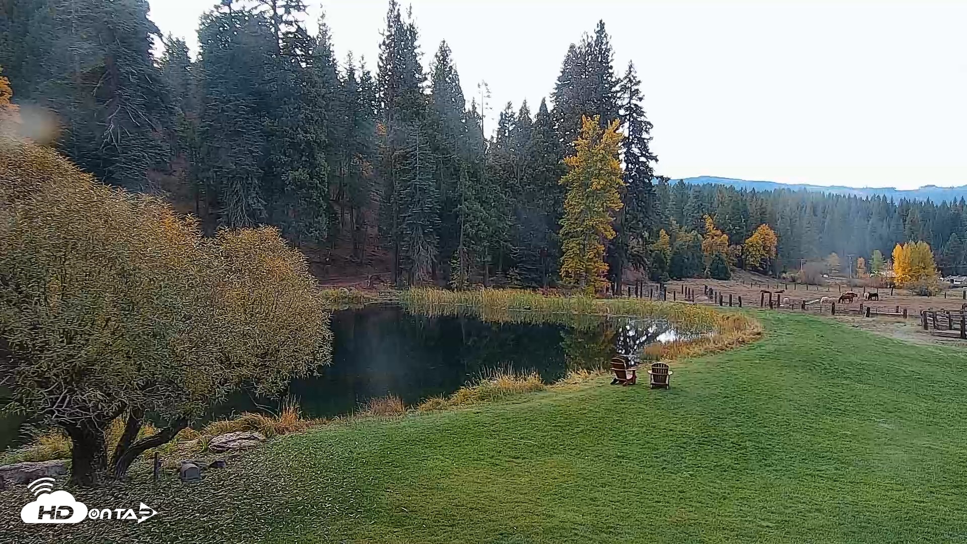 Snapshot of Greenhorn Dude Ranch Live Saloon Cam taken Oct 24, 2025, 10:29am PDT