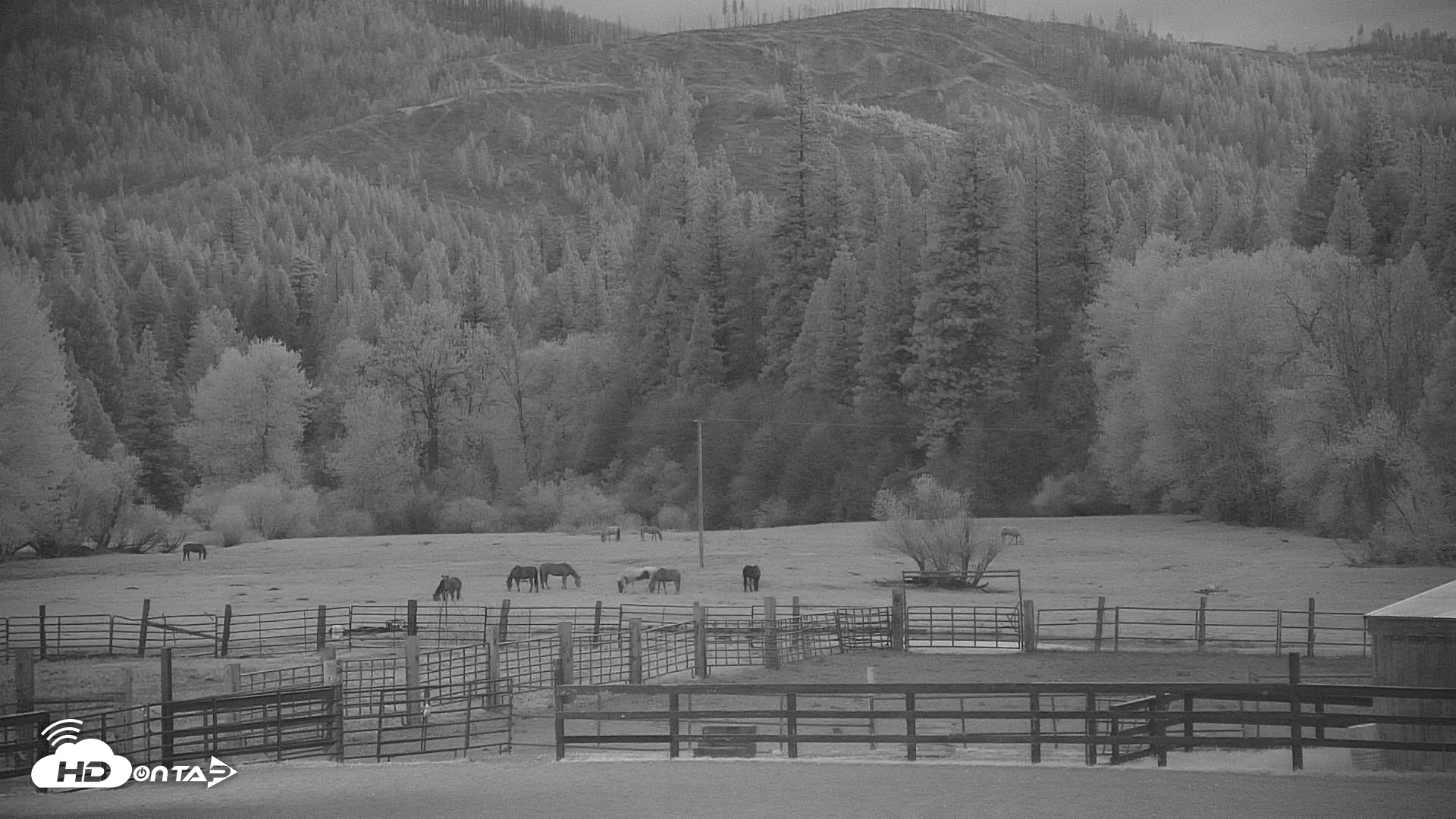 Snapshot of Greenhorn Dude Ranch Live Webcams taken Apr 25, 2025, 8:20pm PDT