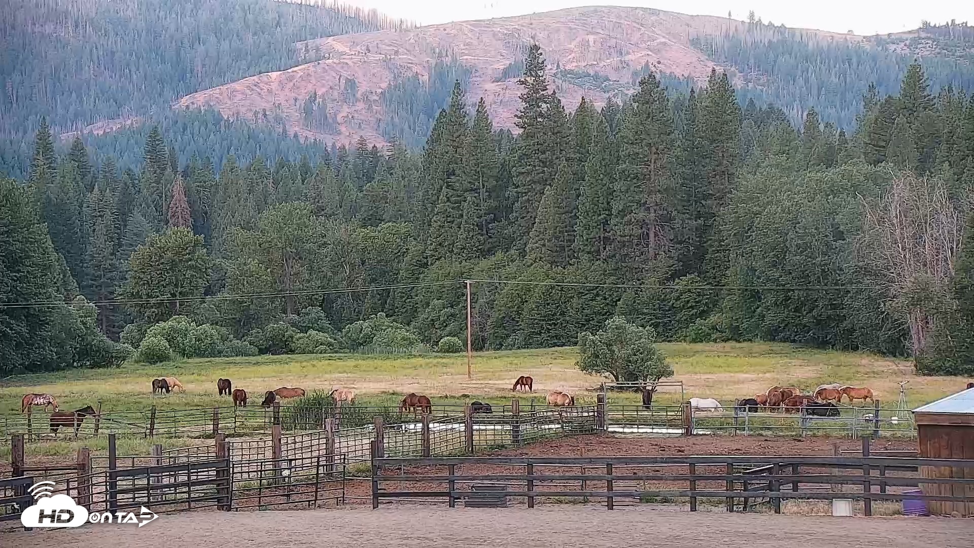 Snapshot of Greenhorn Dude Ranch Live Saloon Cam taken Jun 14, 2025, 5:56am PDT