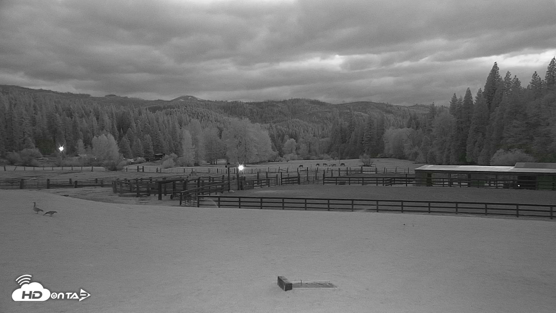 Snapshot of Greenhorn Dude Ranch Live Webcams taken Apr 25, 2025, 8:20pm PDT