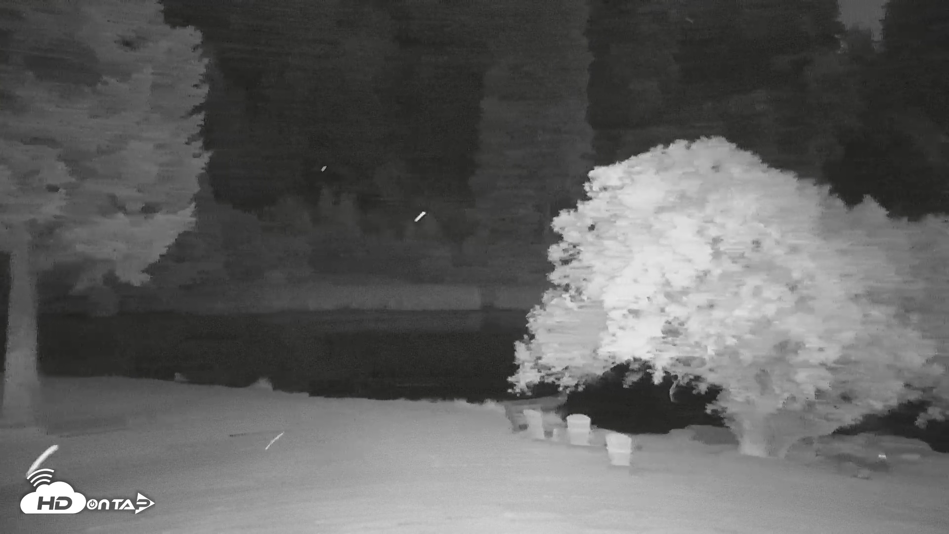 Snapshot of Greenhorn Dude Ranch Live Saloon Cam taken Aug 9, 2026, 8:54pm PDT