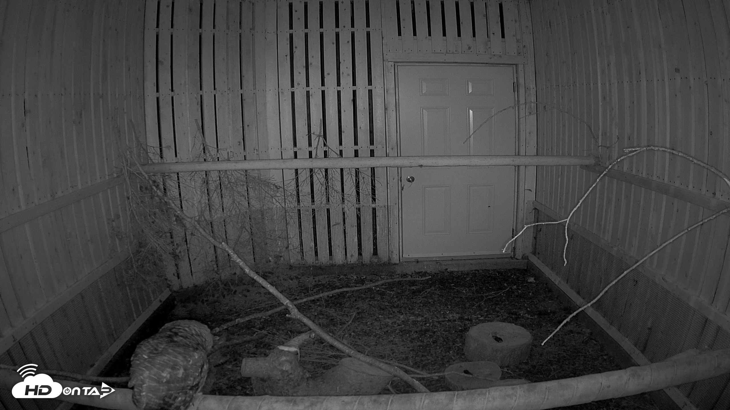 Snapshot of Cobequid Raptor Flight Facility Live Webcams taken Aug 24, 2026, 8:36pm ADT