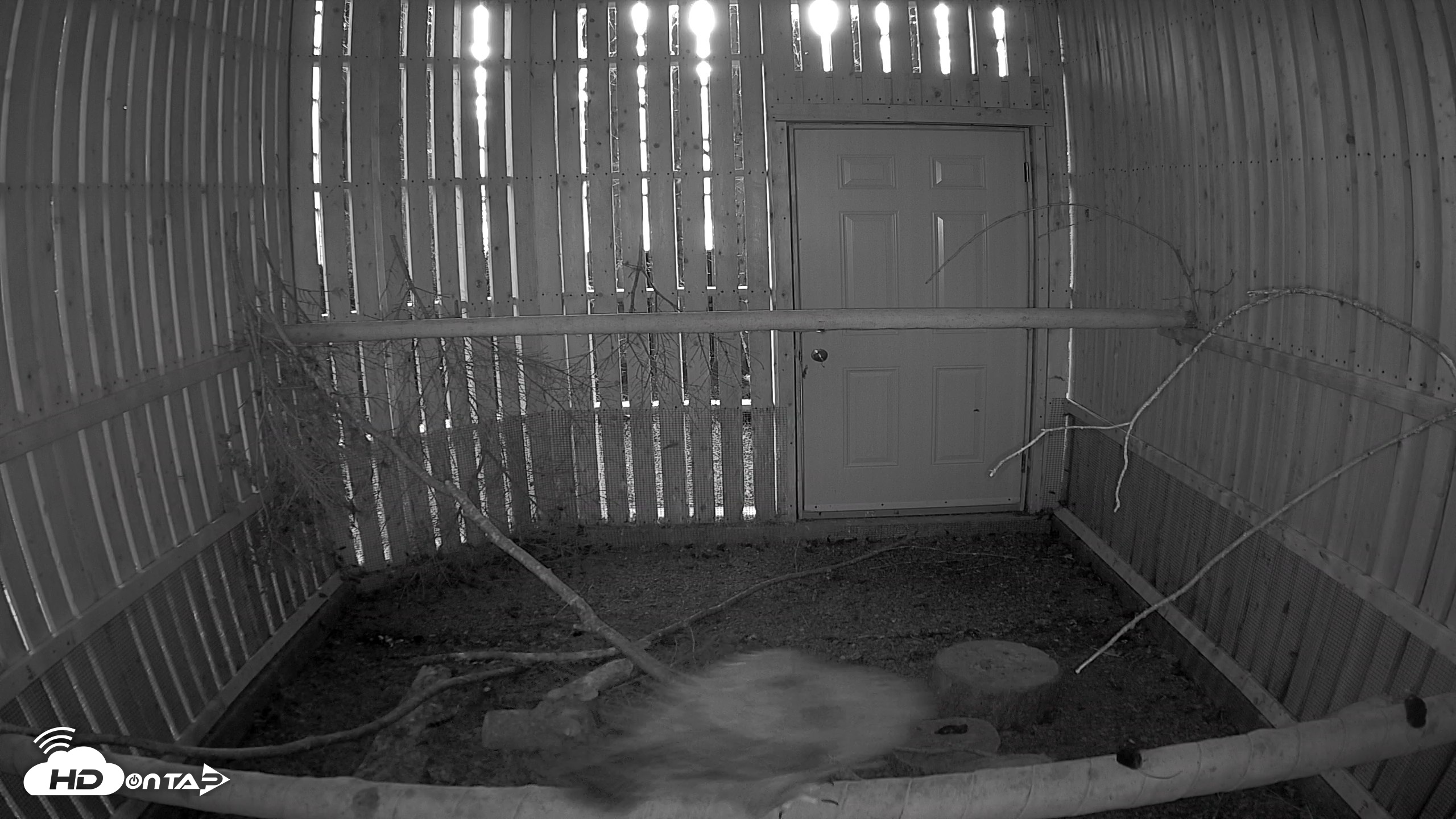 Snapshot of Cobequid Raptor Flight Facility Live Webcams taken Sep 22, 2026, 6:59pm ADT