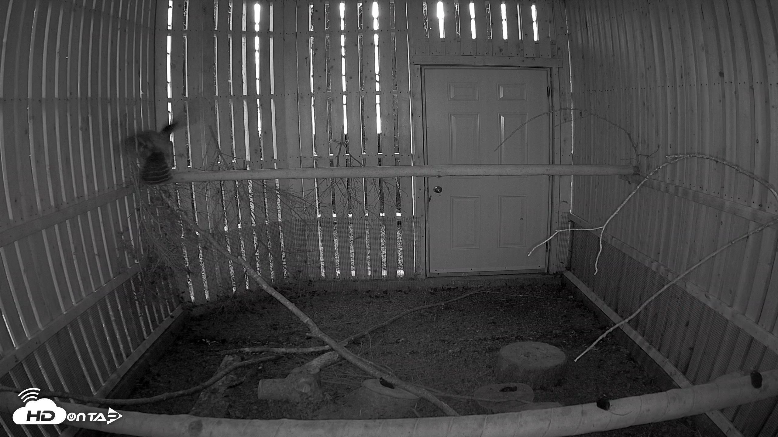 Snapshot of Cobequid Raptor Flight Facility Live Webcams taken Sep 22, 2026, 6:52pm ADT