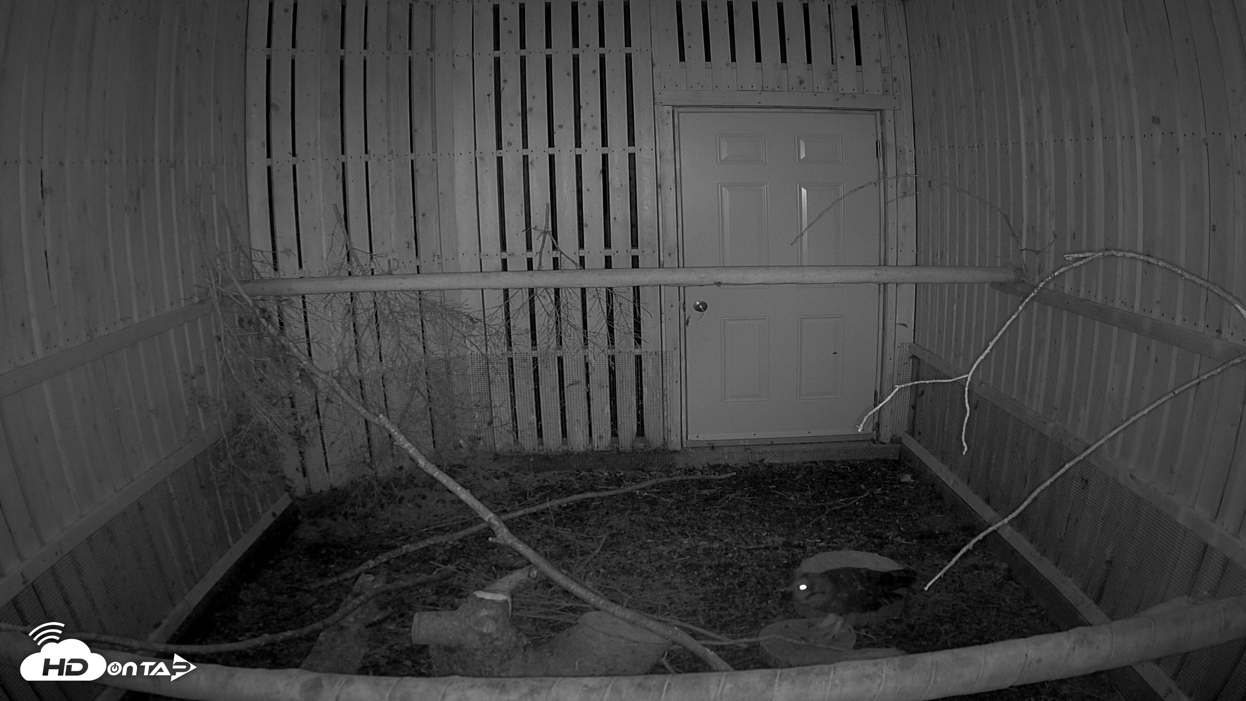 Snapshot of Cobequid Raptor Flight Facility Live Webcams taken Aug 24, 2026, 8:39pm ADT