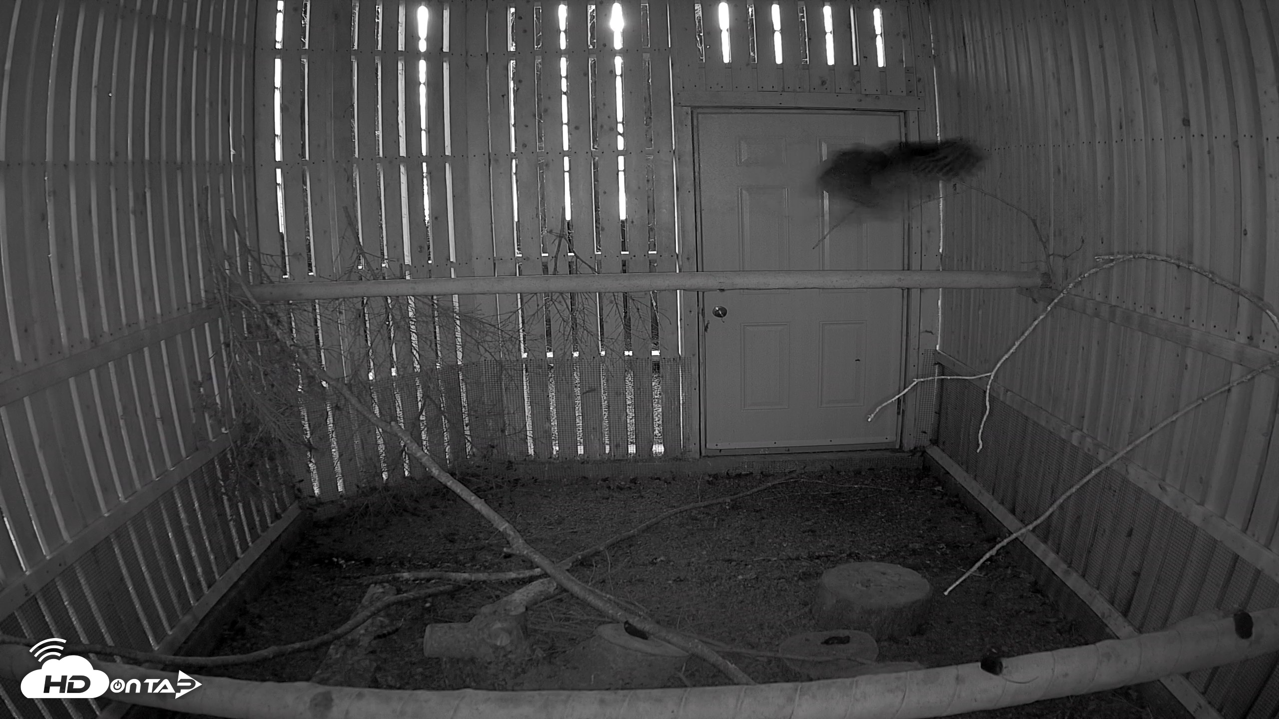 Snapshot of Cobequid Raptor Flight Facility Live Webcams taken Sep 22, 2026, 6:52pm ADT