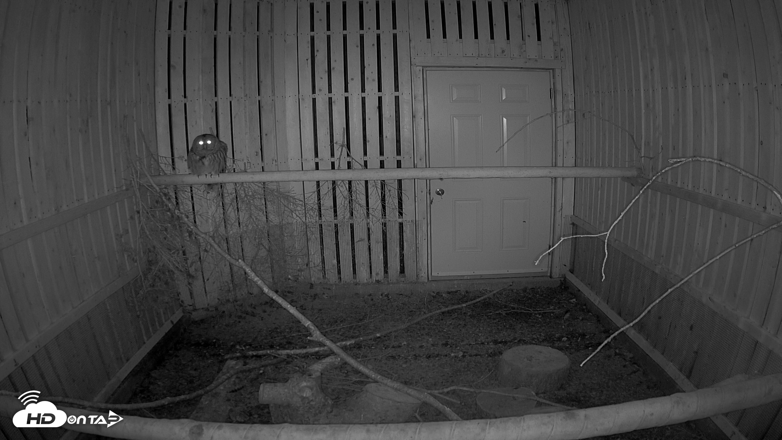 Snapshot of Cobequid Raptor Flight Facility Live Webcams taken Oct 1, 2026, 8:40pm ADT