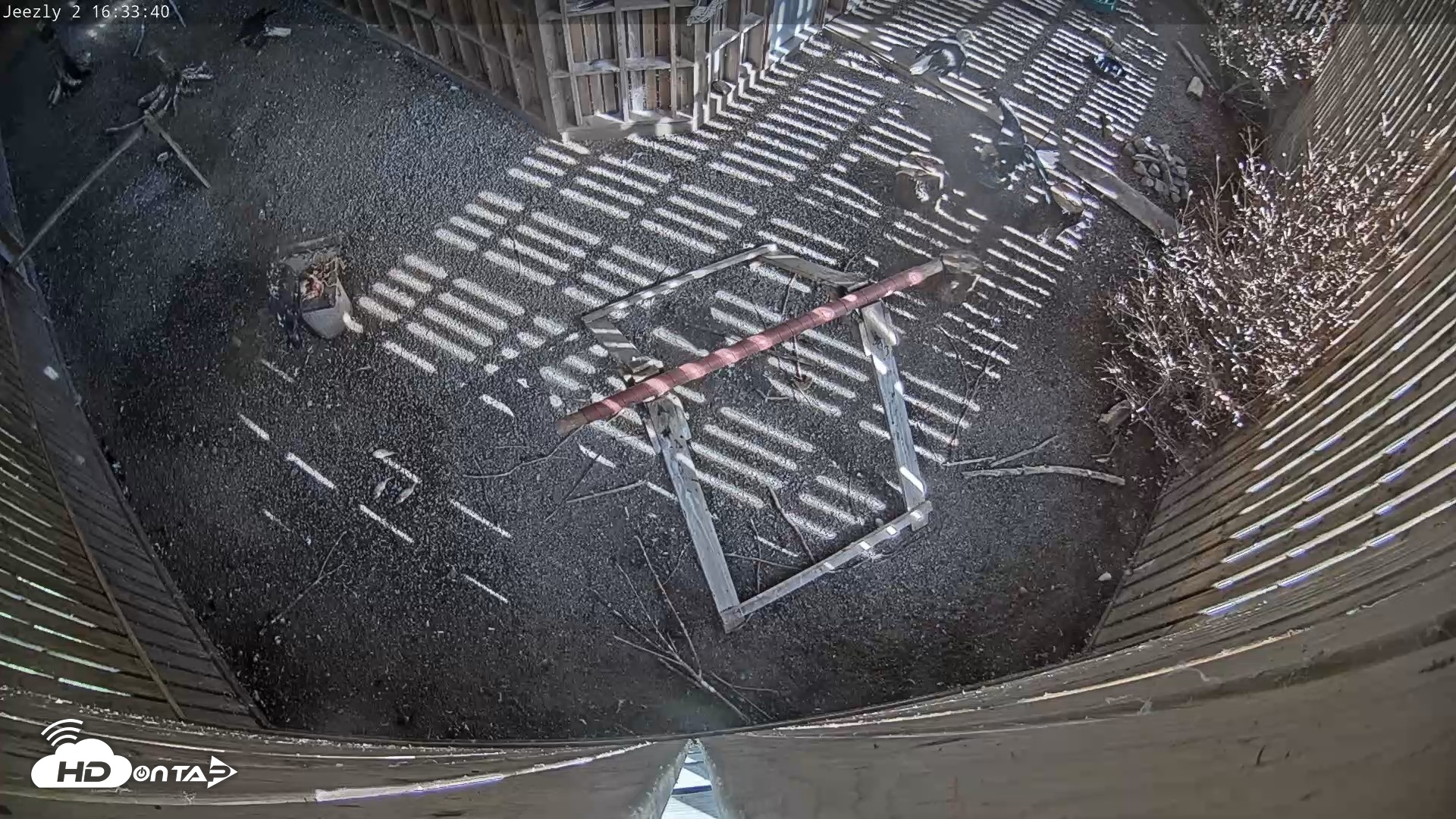 Snapshot of Cobequid Raptor Flight Facility Live Webcams taken Aug 14, 2026, 4:34pm ADT