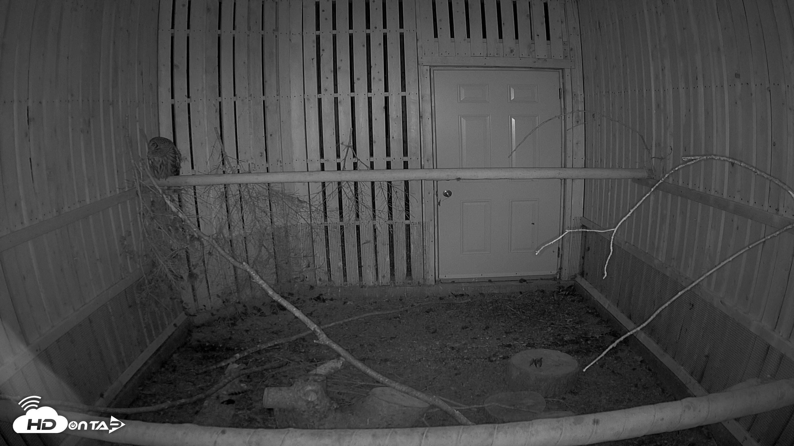 Snapshot of Cobequid Raptor Flight Facility Live Webcams taken Aug 11, 2026, 2:32am ADT