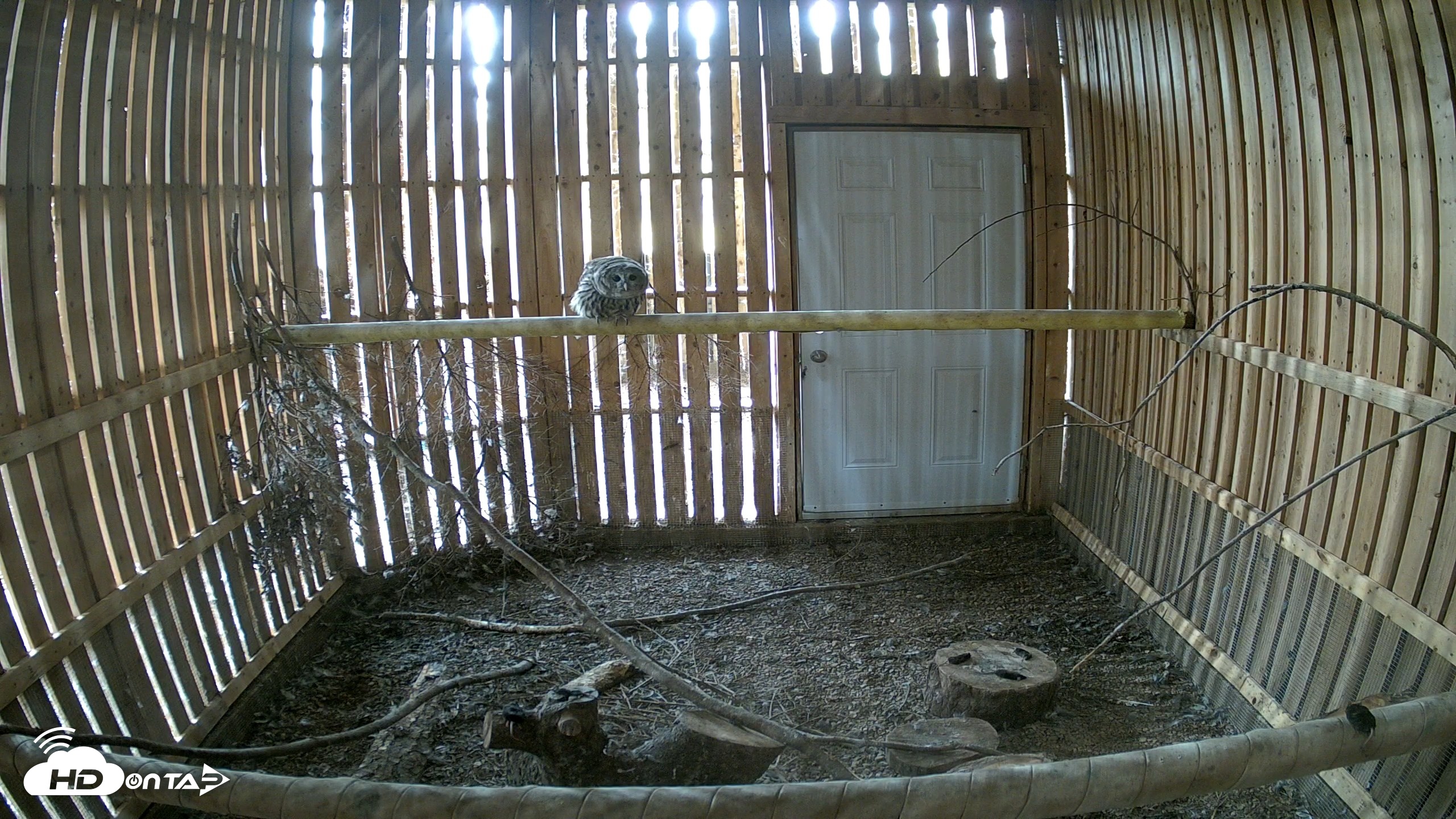 Snapshot of Cobequid Raptor Flight Facility Live Webcams taken Sep 9, 2026, 3:43pm ADT