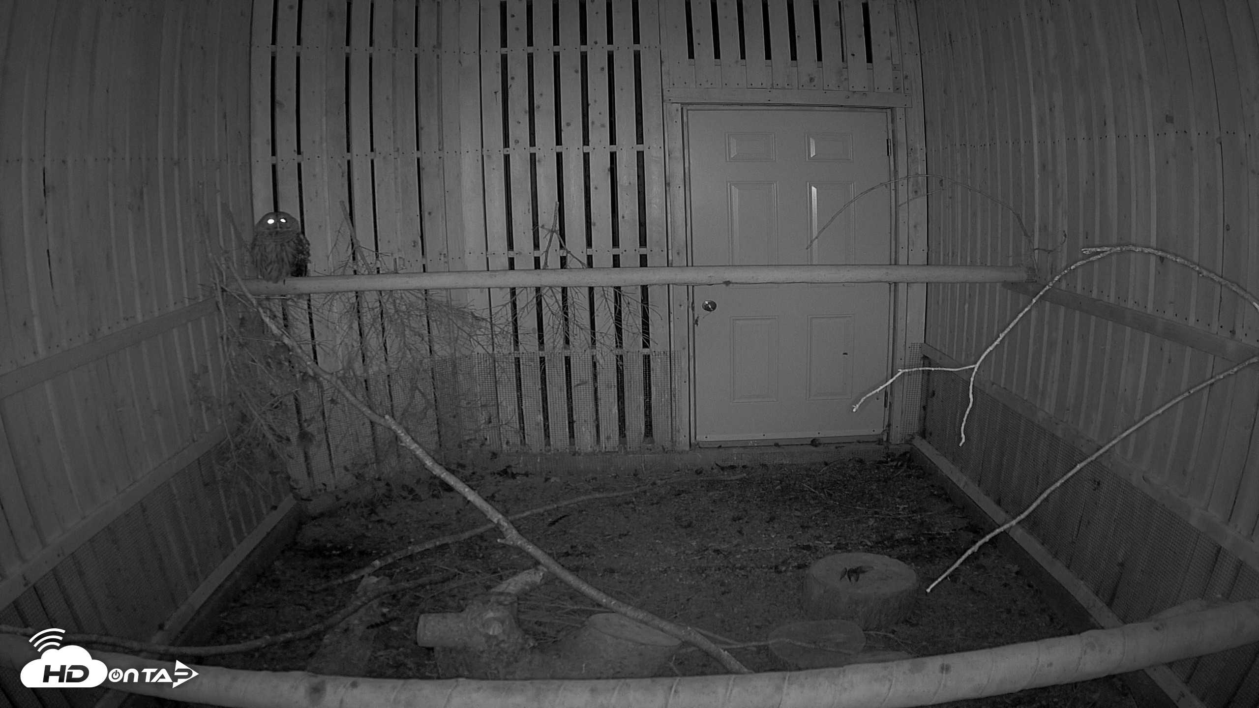 Snapshot of Cobequid Raptor Flight Facility Live Webcams taken Aug 12, 2026, 12:39am ADT