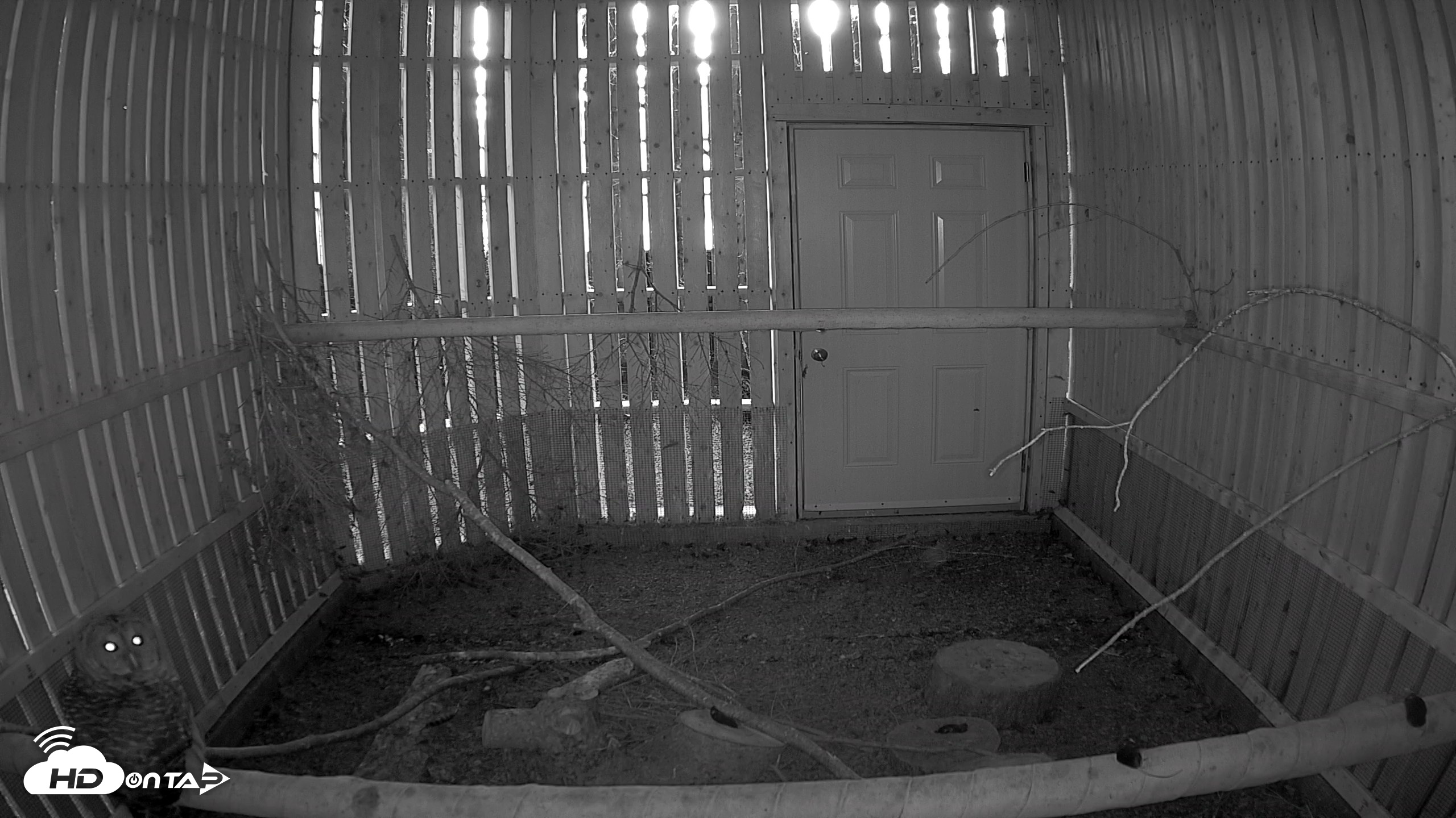 Snapshot of Cobequid Raptor Flight Facility Live Webcams taken Sep 22, 2026, 6:58pm ADT