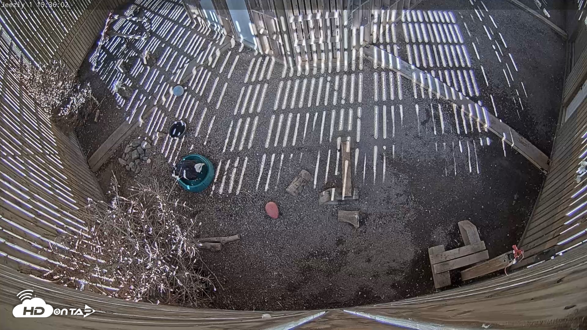 Snapshot of Cobequid Raptor Flight Facility Live Webcams taken Sep 22, 2026, 3:36pm ADT