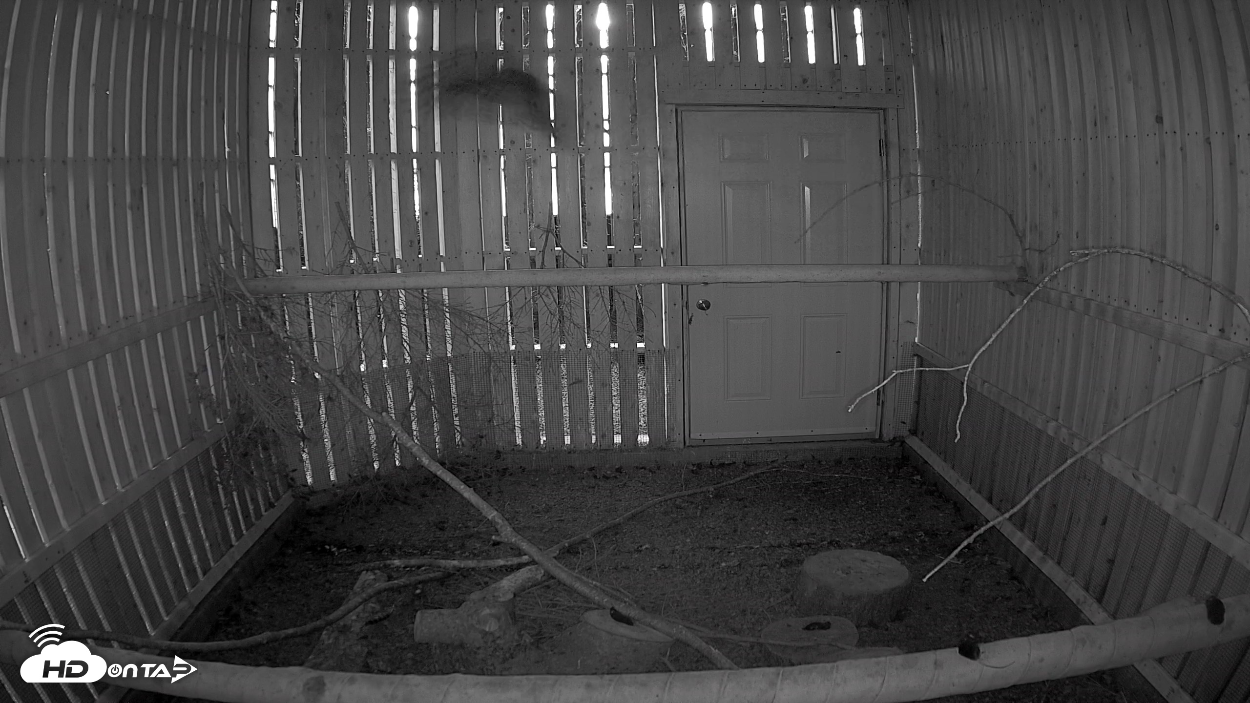 Snapshot of Cobequid Raptor Flight Facility Live Webcams taken Sep 22, 2026, 6:52pm ADT