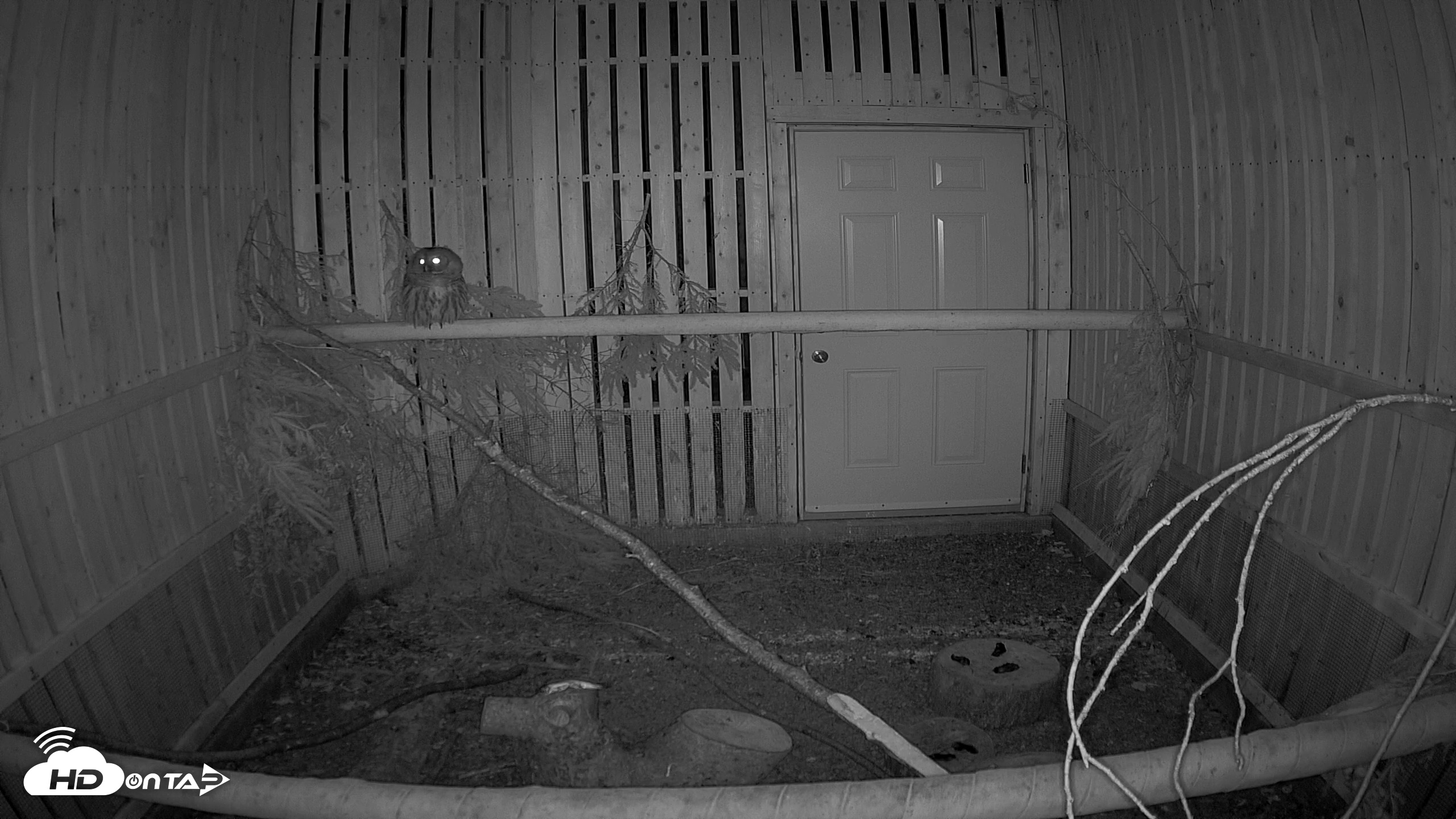 Snapshot of Cobequid Raptor Flight Facility Live Webcams taken Feb 7, 2026, 8:21pm AST