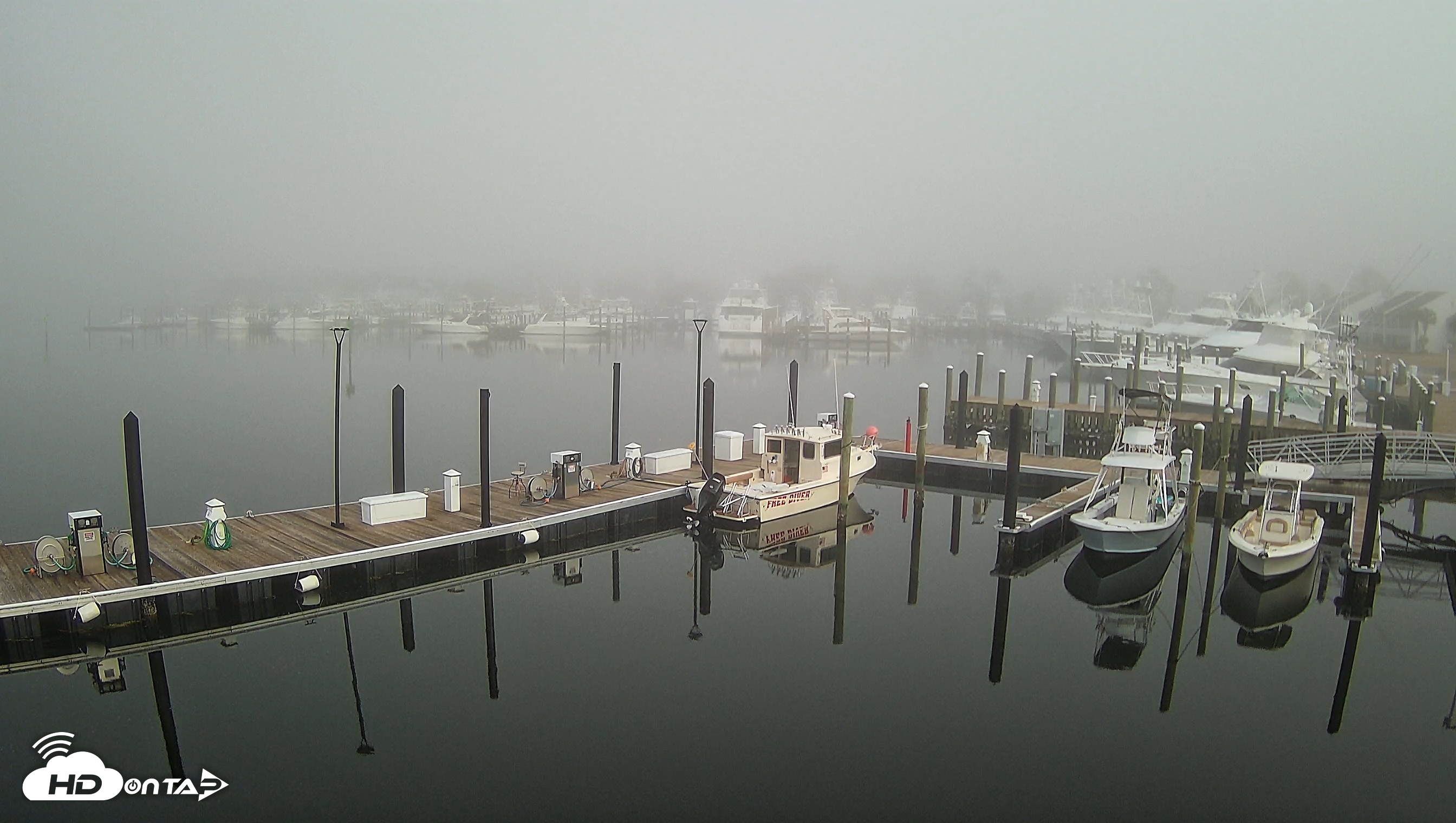 Snapshot of Point South Bay Point Marina Live Webcam taken Feb 7, 2025, 8:18am CST