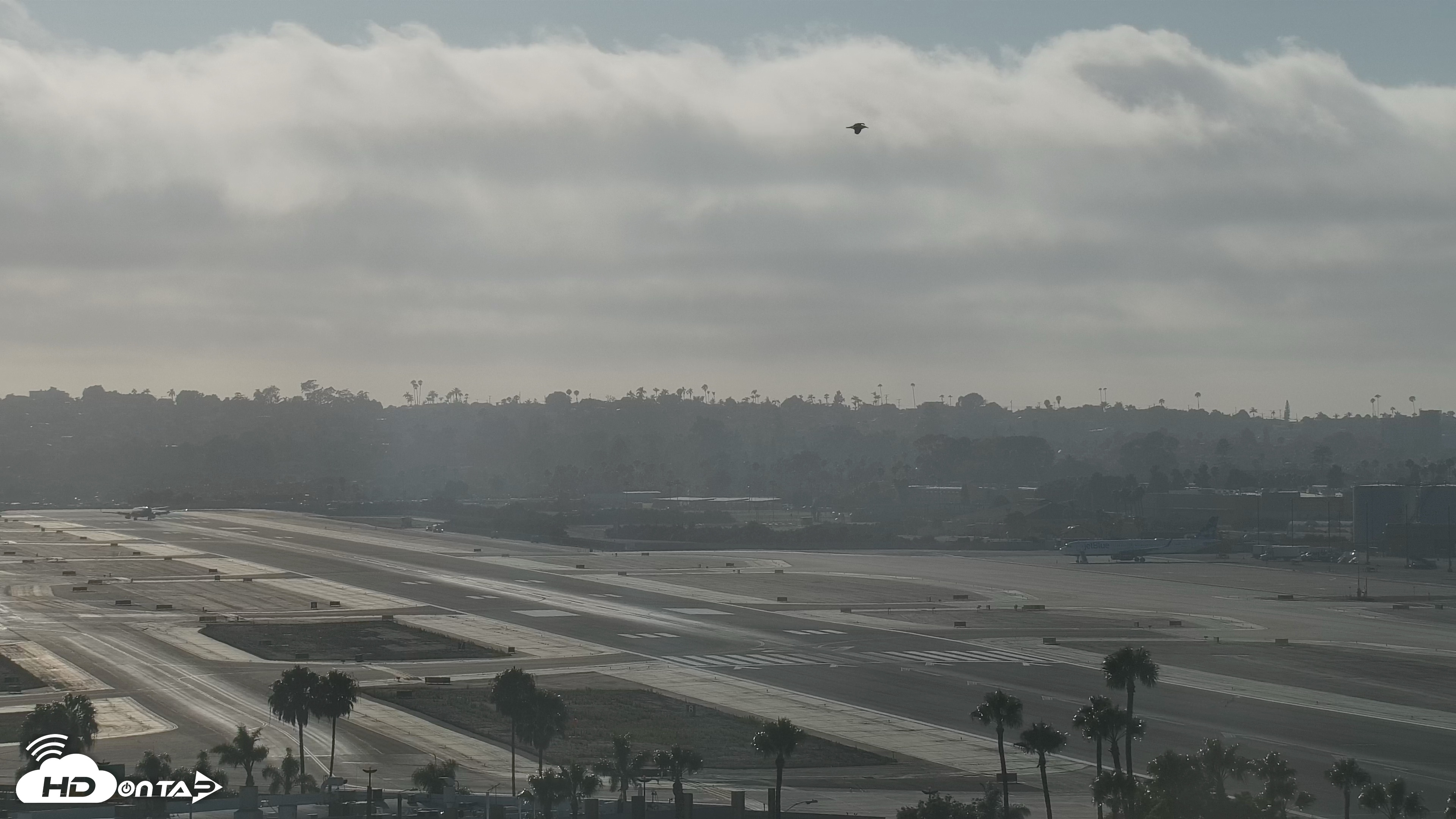 Snapshot of SD Lindbergh Airport & Bay Live Webcam taken Jul 22, 2026, 6:34pm PDT