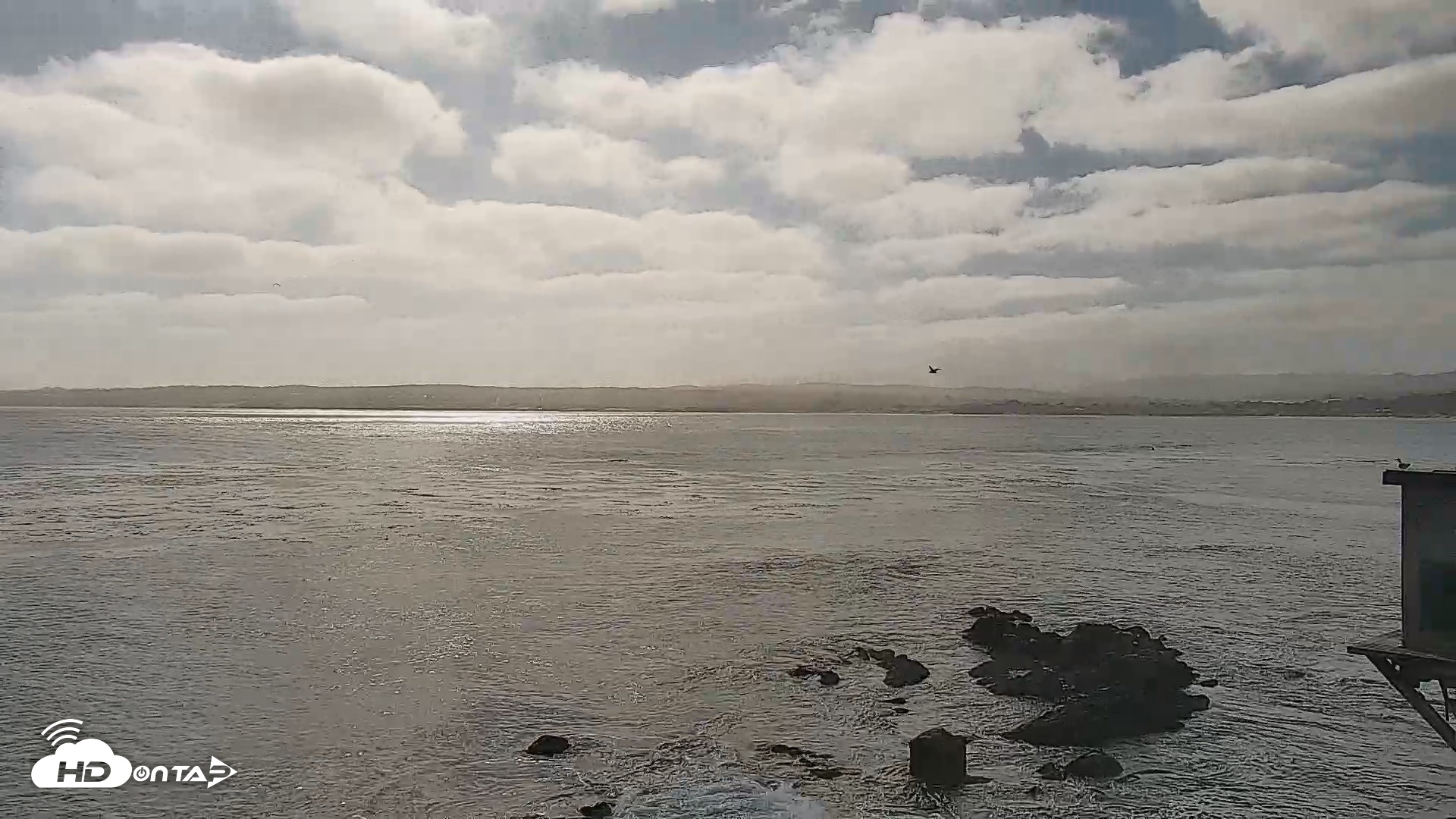 Snapshot of Monterey Cannery Row Live Webcam taken Jun 7, 2026, 8:50am PDT