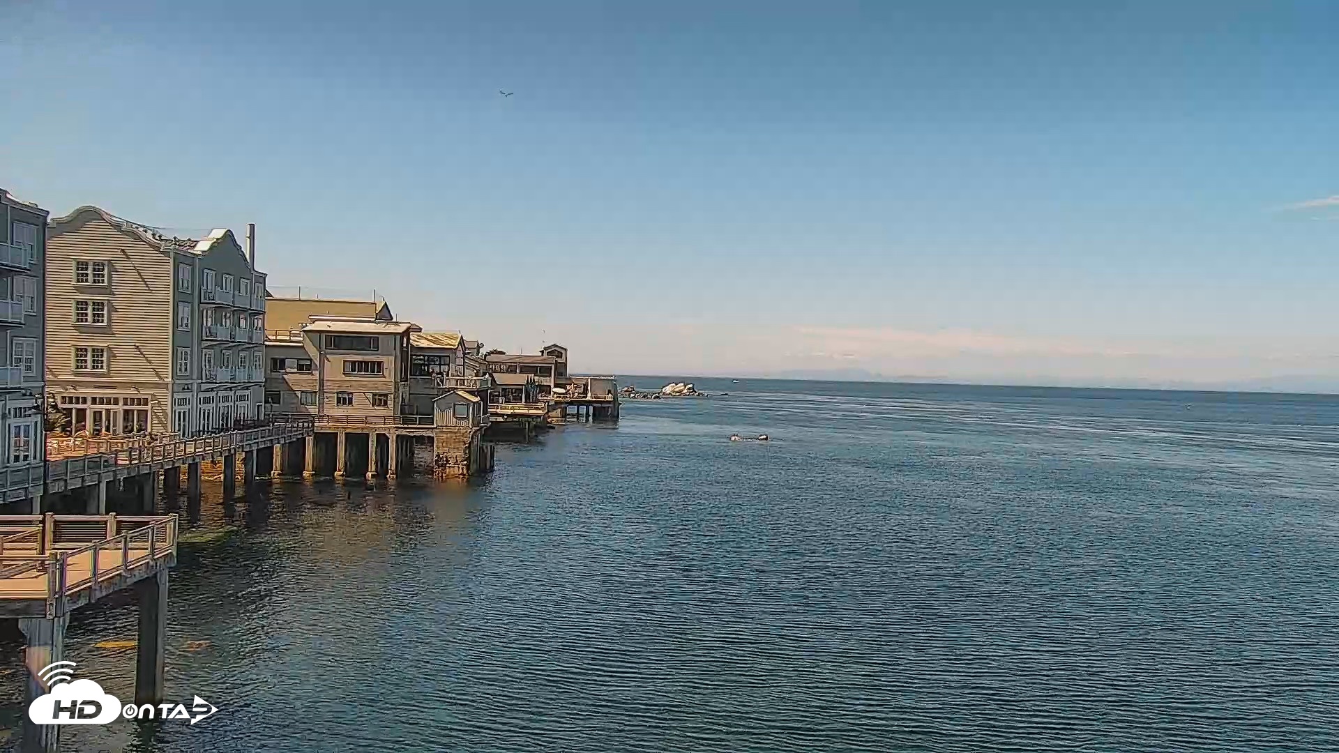 Snapshot of Monterey Cannery Row Live Webcam taken Sep 1, 2026, 2:50pm PDT