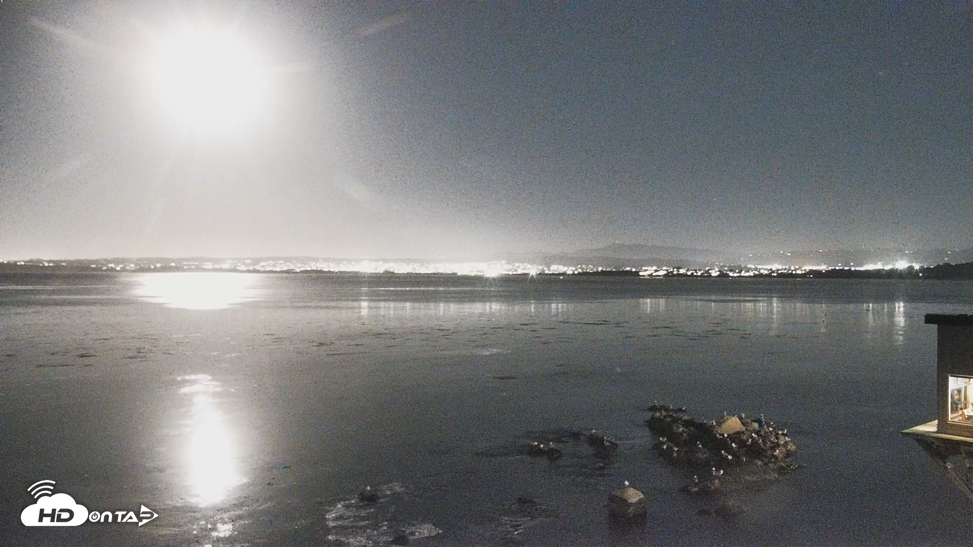 Snapshot of Cannery Row Live taken Oct 7, 2025, 8:07pm PDT