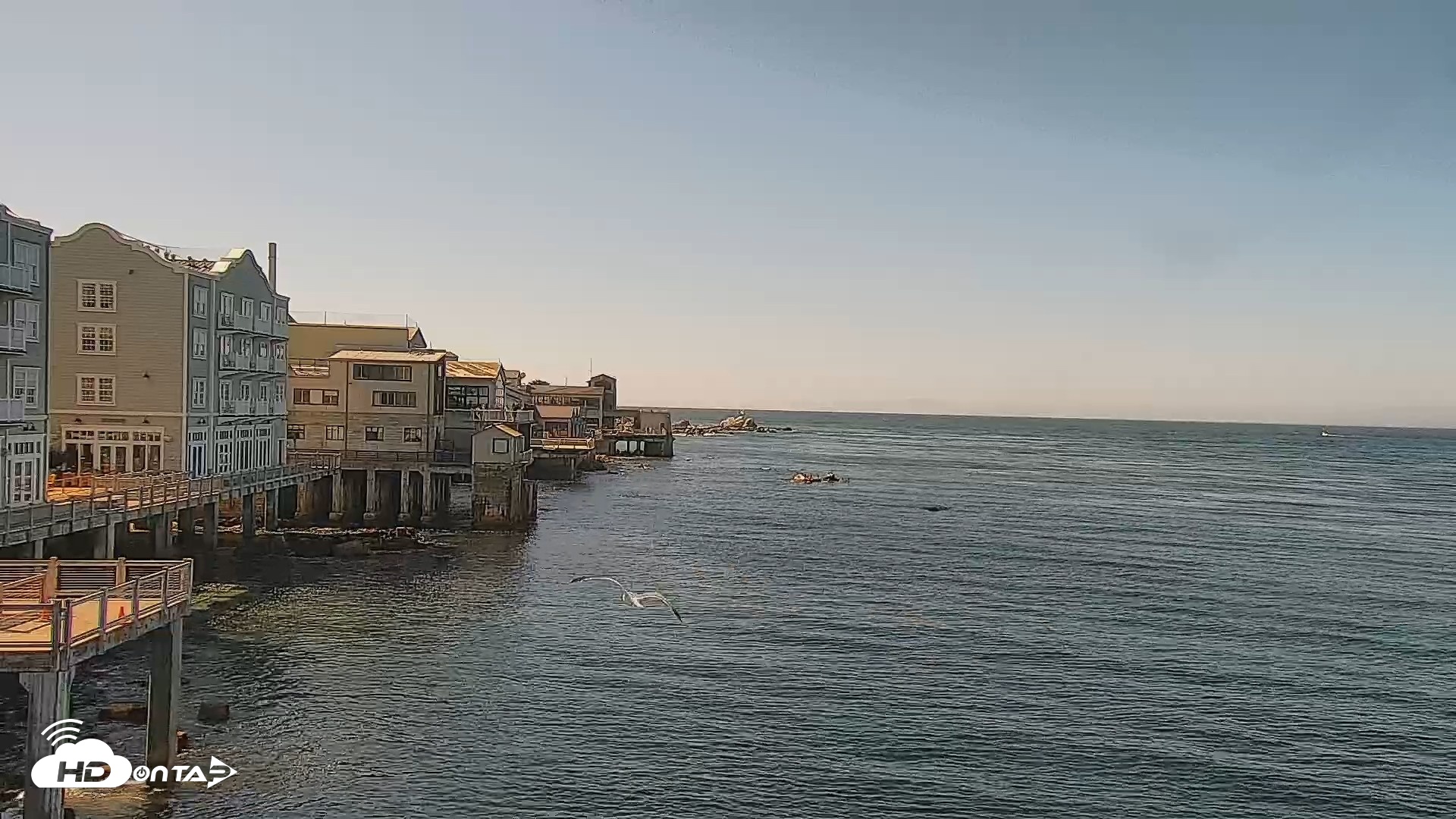 Snapshot of Monterey Cannery Row Live Webcam taken Jun 3, 2026, 4:09pm PDT