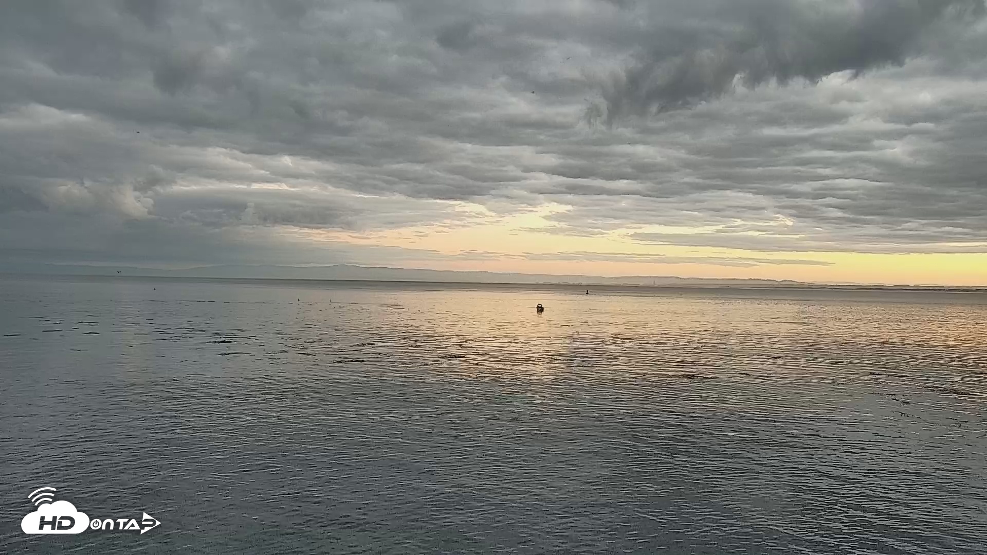 Snapshot of Cannery Row Live taken Oct 9, 2025, 7:03am PDT