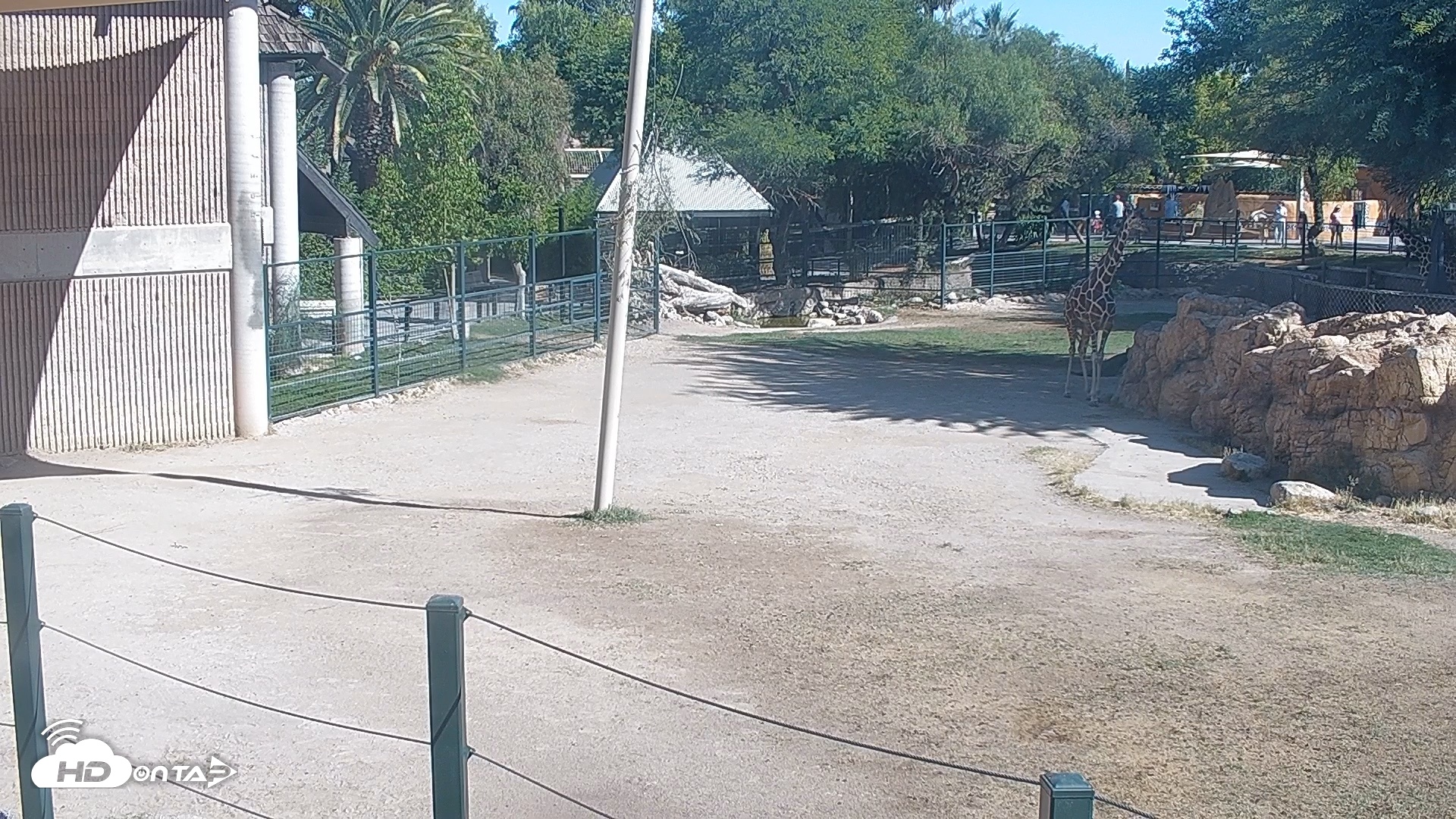Snapshot of Reid Park Zoo Giraffes Live Webcam taken Jun 8, 2026, 8:39am MST