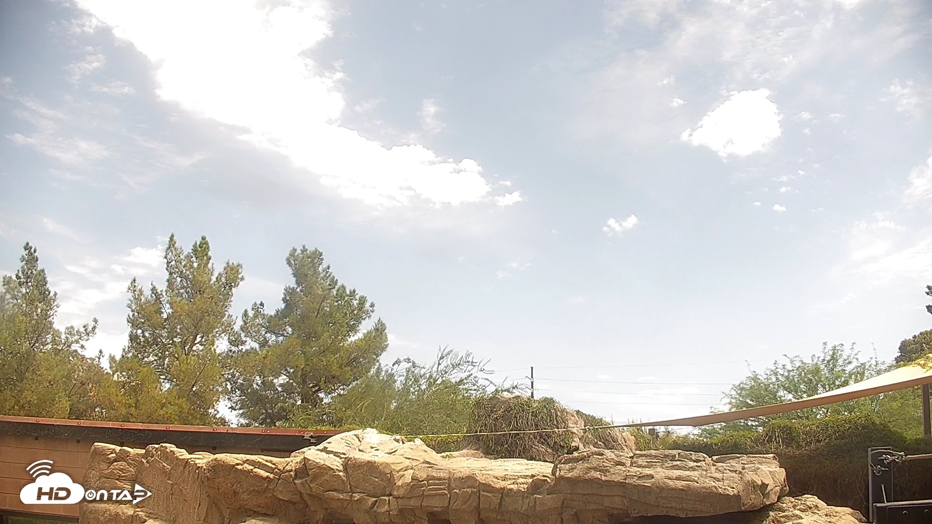 Snapshot of Reid Park Zoo Giraffes Live Webcam taken Jul 4, 2026, 2:29pm MST