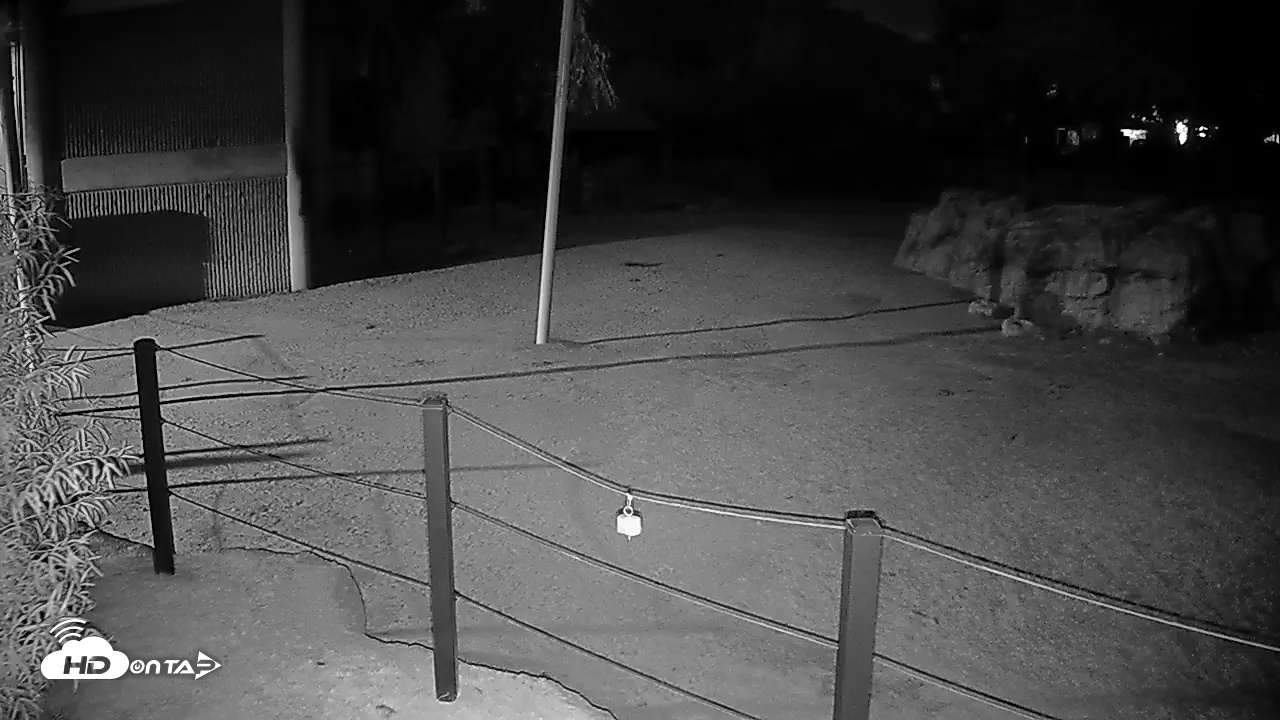 Snapshot of Reid Park Zoo Giraffes Live Webcam taken Oct 31, 2025, 9:58pm MST