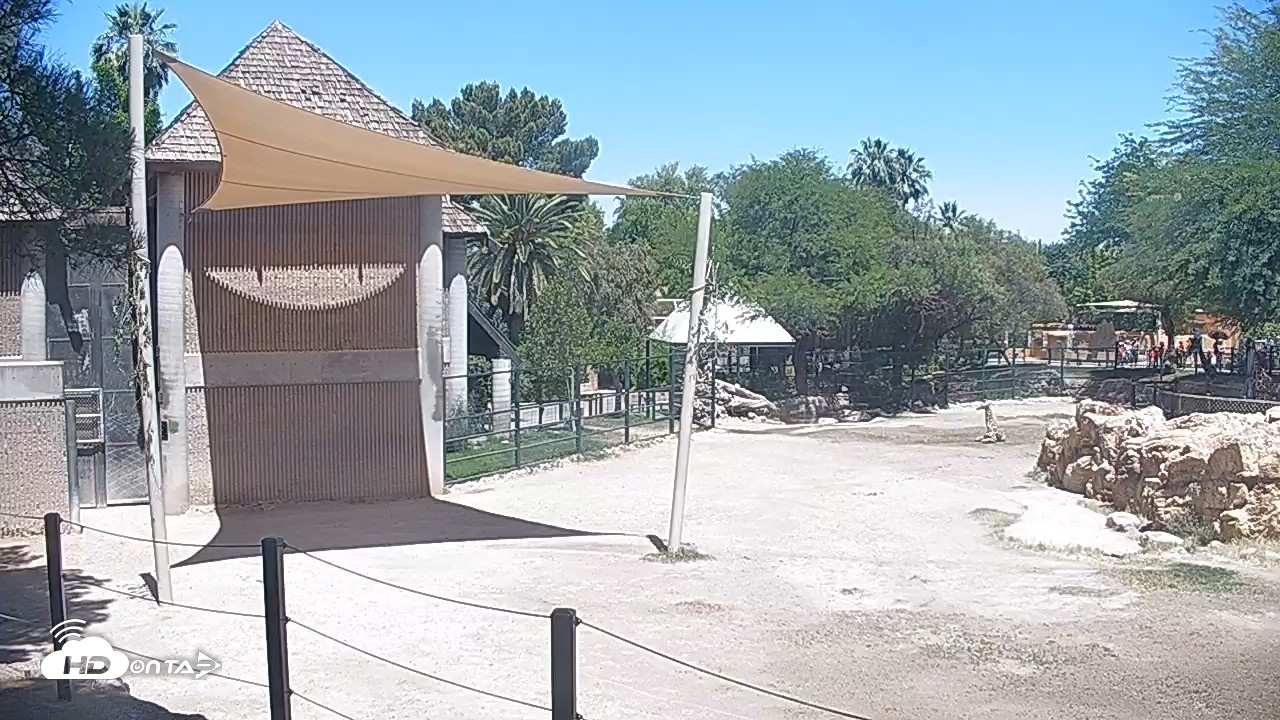 Snapshot of Reid Park Zoo Giraffes Live Webcam taken May 14, 2026, 11:09am MST
